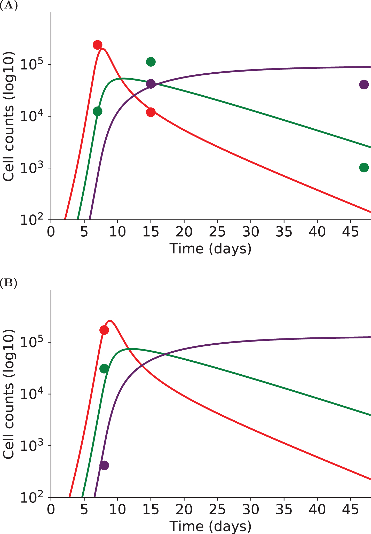 The dynamics of three subpopulations (early effector - red, late effector - green, memory - purple) are simulated with System (2) for two individuals. Experimental measurements are represented by dots, simulations of the model by straight lines. (A) Individual cell counts have been measured on days 7, 15 and 47pi. (B) Individual cell counts have been measured on day 8pi only. Although each individual is not characterized by enough experimental measurements to allow parameter estimation on single individuals, nonlinear mixed effects models provide individual fits by considering a population approach.