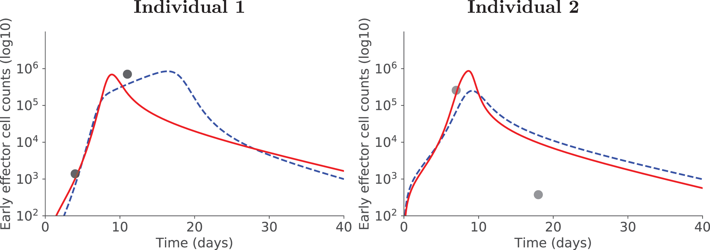 Positive side-effect of using covariates. For two illustrative individuals, accounting for covariates allows to better estimate early effector cell dynamics: red plain curve with covariate, blue dashed curve without covariate.