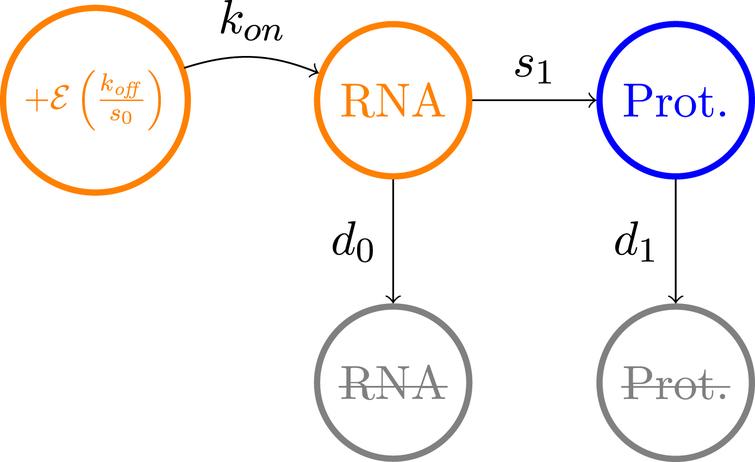 Approximation of the two-states model of gene expression in the bursty regime.