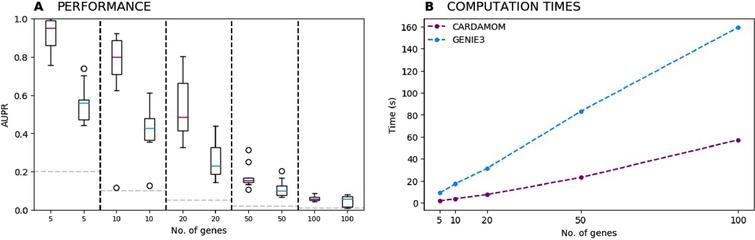 (A) Evolution of the performances of CARDAMOM and GENIE3 when increasing the number of genes. For each number of genes, we represent a boxplot of the AUPR scores computed for ten datasets simulated with 10 different randomly generated tree-like networks. (B) Evolution of the average computational time measured for inferring the tree-like networks with respect to the number of genes.