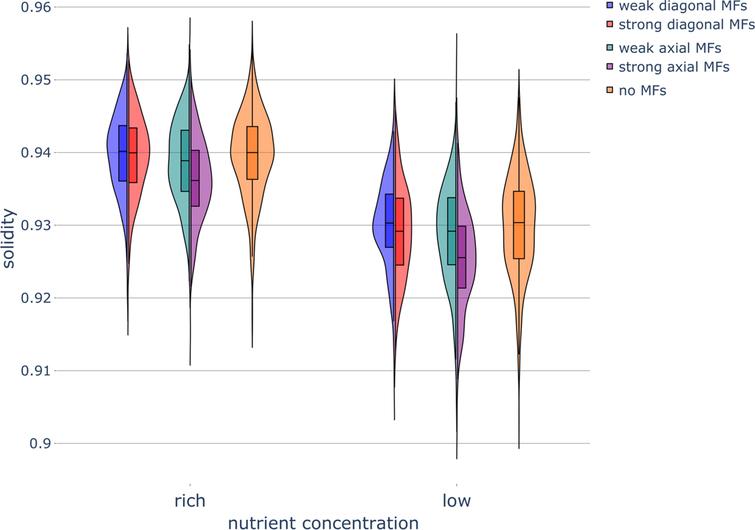 Haploid colony solidity under different nutrient and magnetic field conditions. Violin plot of colony solidity in various nutrient conditions while exposed to magnetic fields (MFs) of different strengths and directions. Parameters were set as follows: rich-nutrient condition: START_NUTRS = 20, low-nutrient condition: START_NUTRS = 2; nSteps = 10; paxial = 0.6; no MFs: MF_STRENGTH = 0, weak MFs: MF_STRENGTH = 0.5, strong MFs: MF_STRENGTH = 1.