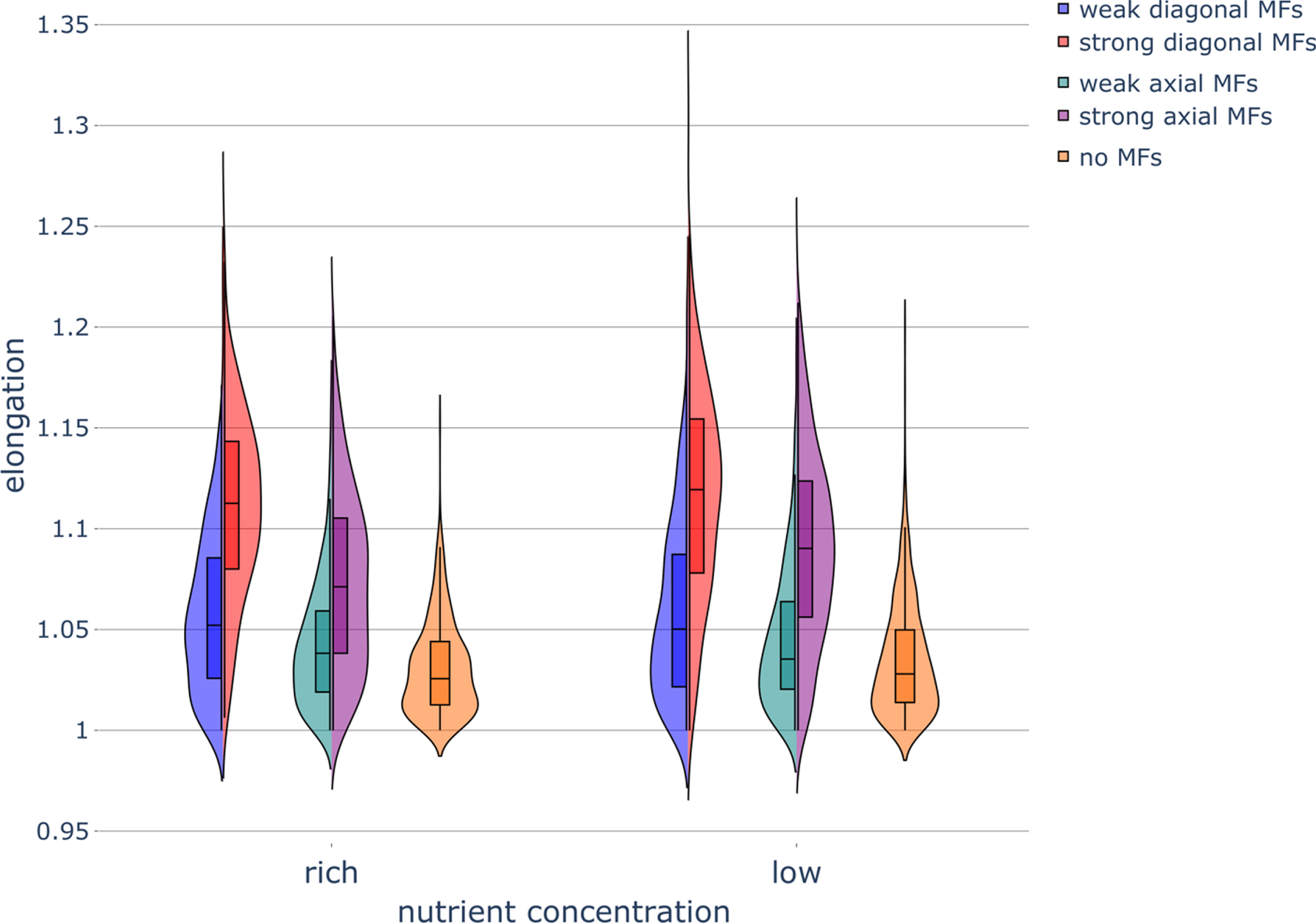 Elongation of diploid colonies without pseudohyphal growth under different nutrient conditions and applied magnetic fields. Violin plot of colony elongation under various nutrient concentrations and exposure to magnetic fields (MFs) of different strengths and directions. Parameters were set as follows: rich-nutrient condition: START_NUTRS = 20, low-nutrient condition: START_NUTRS = 2; nSteps = 10; paxial = 0; no MFs: MF_STRENGTH = 0, weak MFs: MF_STRENGTH = 0.5, strong MFs: MF_STRENGTH = 1.