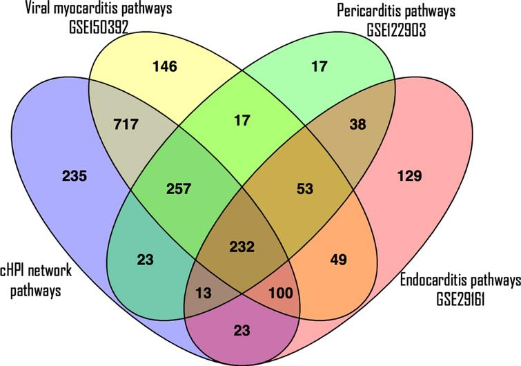 A Venn diagram to see overlapping of number of enriched pathways. The purple ellipse represents the total number of enriched pathways of cHPI network; the yellow ellipse represents the total number of enriched pathways involved in viral myocarditis related GEO dataset (GSE150392); the green ellipse represents the total number of enriched pathways present in pericarditis related GEO dataset (GSE122903) and the pink ellipse represents the total number of enriched pathways present in endocarditis related GEO dataset (GSE29161).