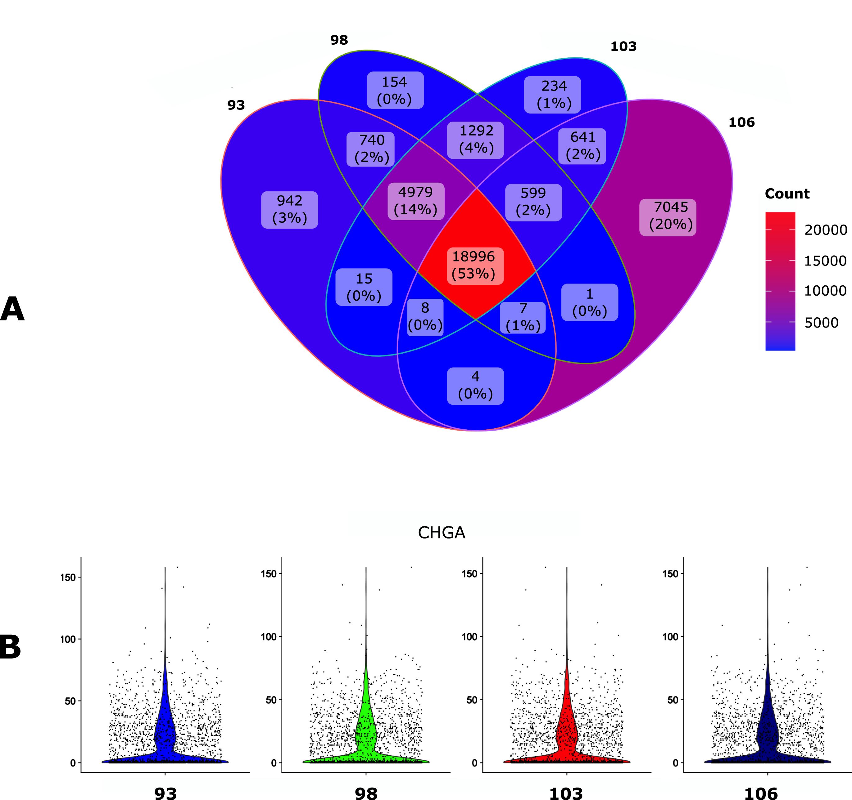 Impact of the GTF version. The human gonadotroph tumors dataset was submitted to scAN1.0 with 4 different versions of the GTF for mapping with Cellranger. A. Venn diagram of the number of the detected genes when using the different versions. B. Violin plot representation of the impact of the GTF version on the UMI counts for the CHGA gene.