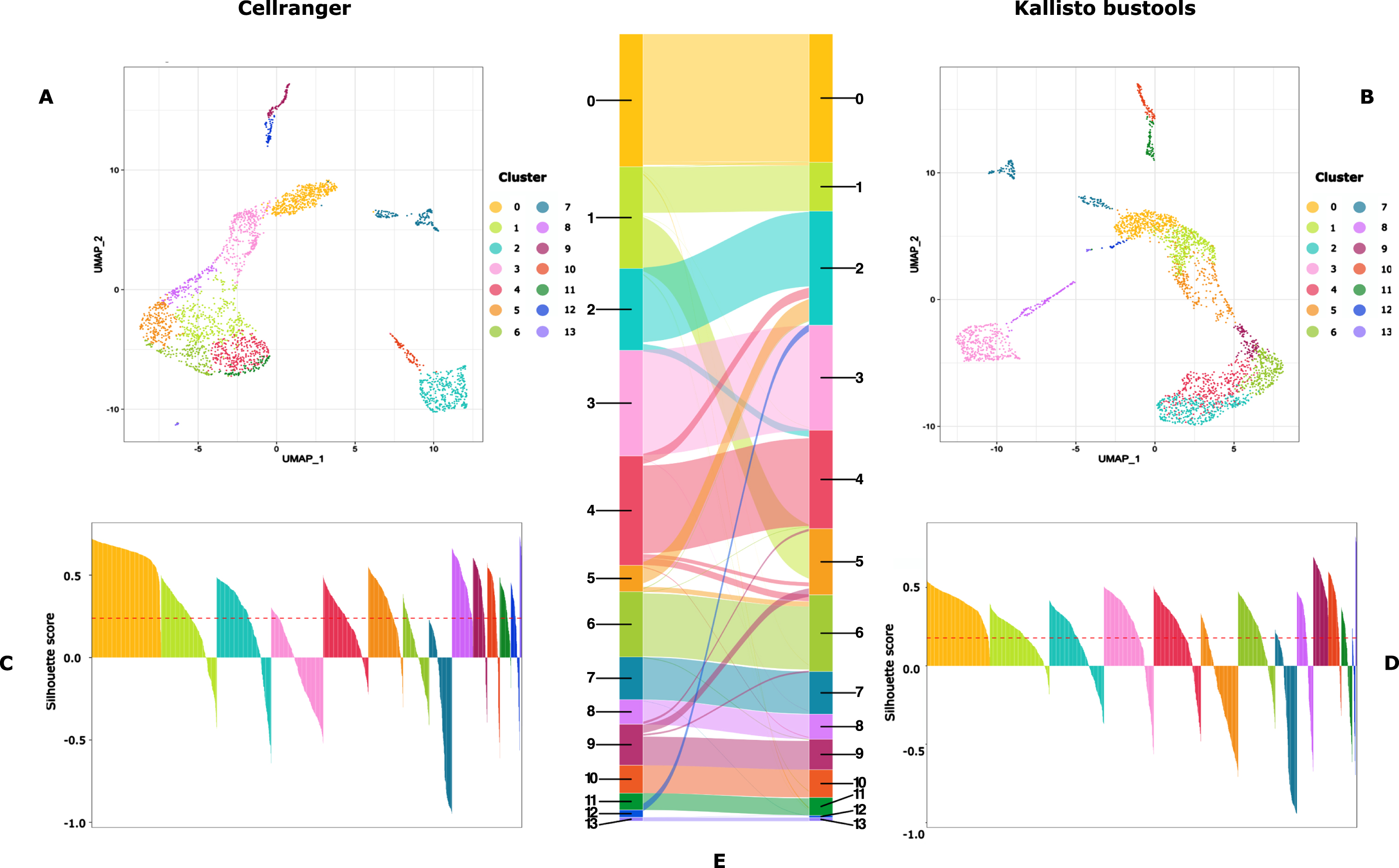 Cluster characterization: UMAP representation (A and B) and Silhouette scores (C and D) of the clusters obtained on data processed with CellRanger (A and C) or Kallisto-bustools (B and D). In E, is shown an alluvial plot highlighting the conservation and differences in cluster composition depending upon the initial mapping method.