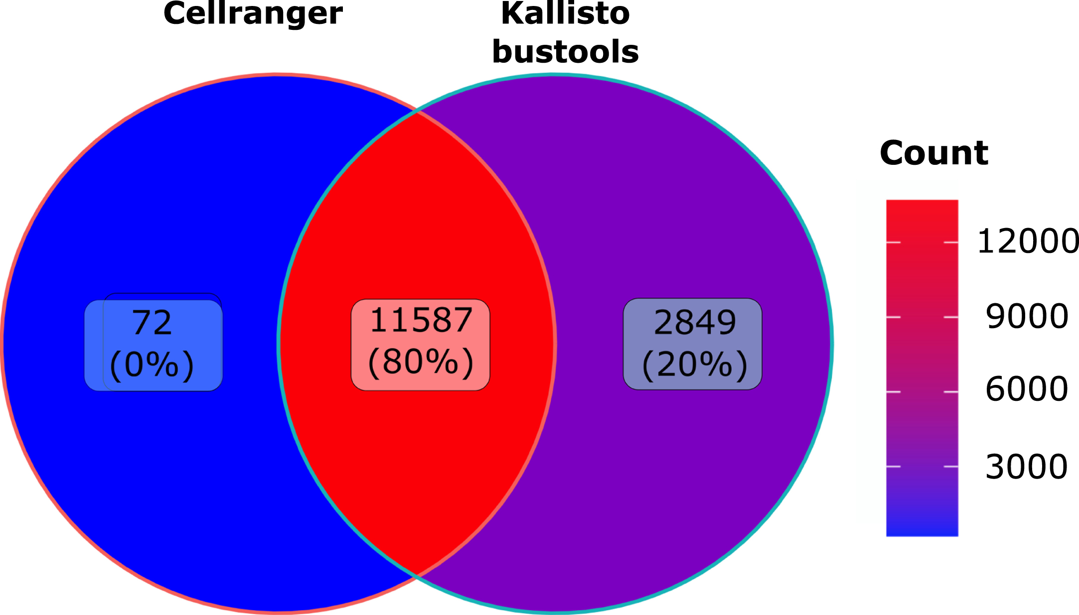 Murine dataset analysis: Venn diagramm of the number of genes detected using Cellranger (CR) or Kallisto-bustools (KB) as alignment tool the murine CD8 dataset.