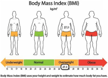 BMI infographic.