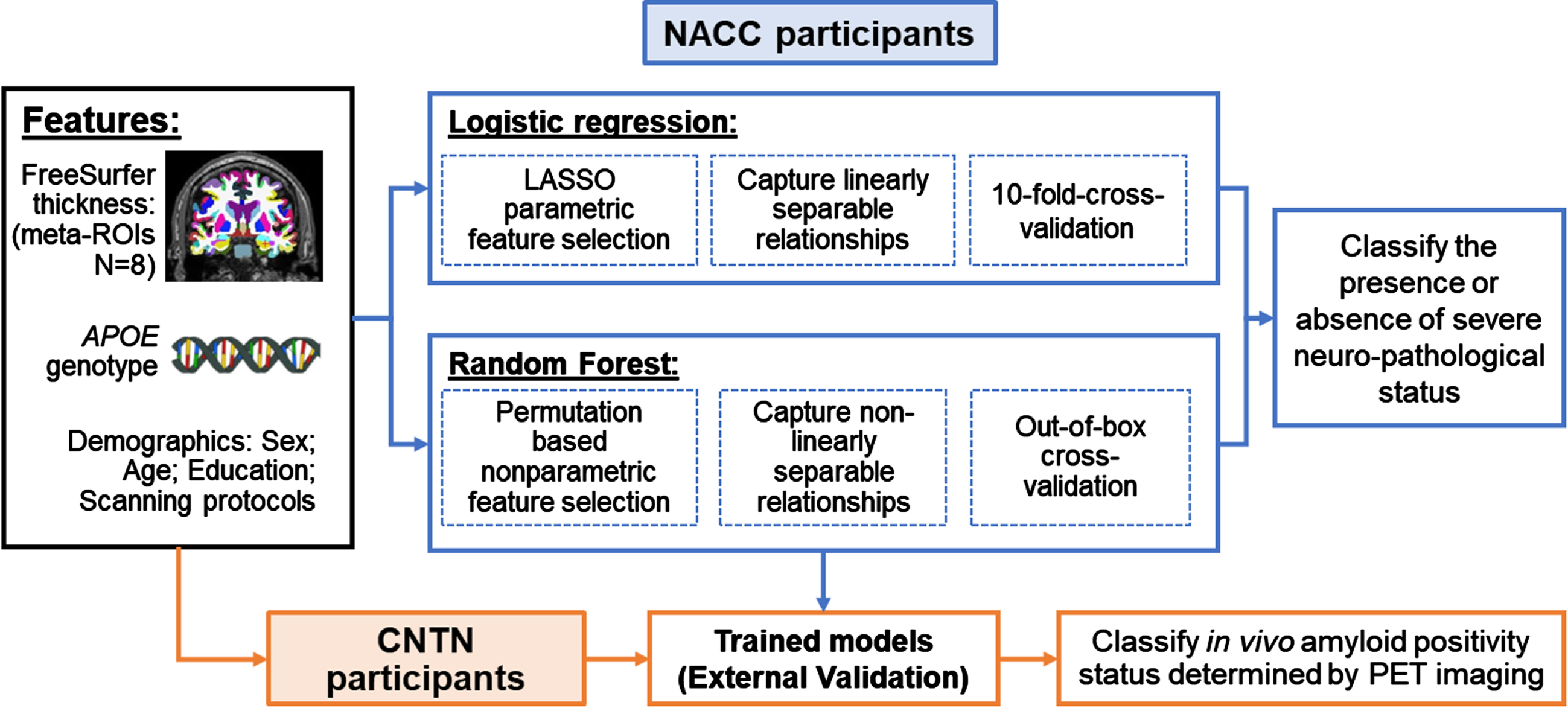 Classification schema. Black box (on the left): Clinically accessible features included in this study; Blue boxes (top part on the right): training and validating machine learning models in classifying the presence or absence of severe AD neuropathological status in NACC participants; Orange boxes (bottom part): External validation of trained models in classifying in vivo amyloid positivity status determined by PET imaging using CNTN subjects.