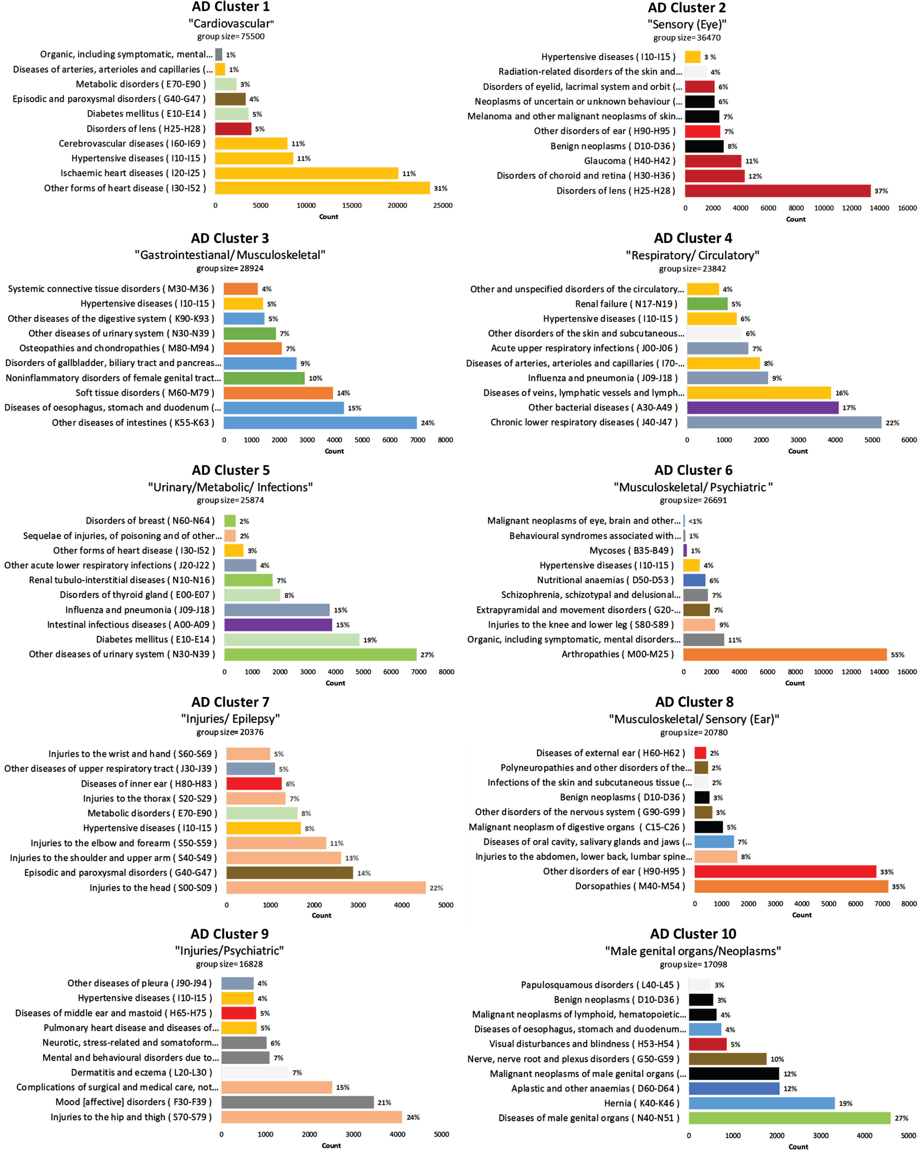 10-Cluster model with ICD-10 Block distribution for AD cohort. AD, Alzheimer’s disease; ICD, International Classification of Diseases.