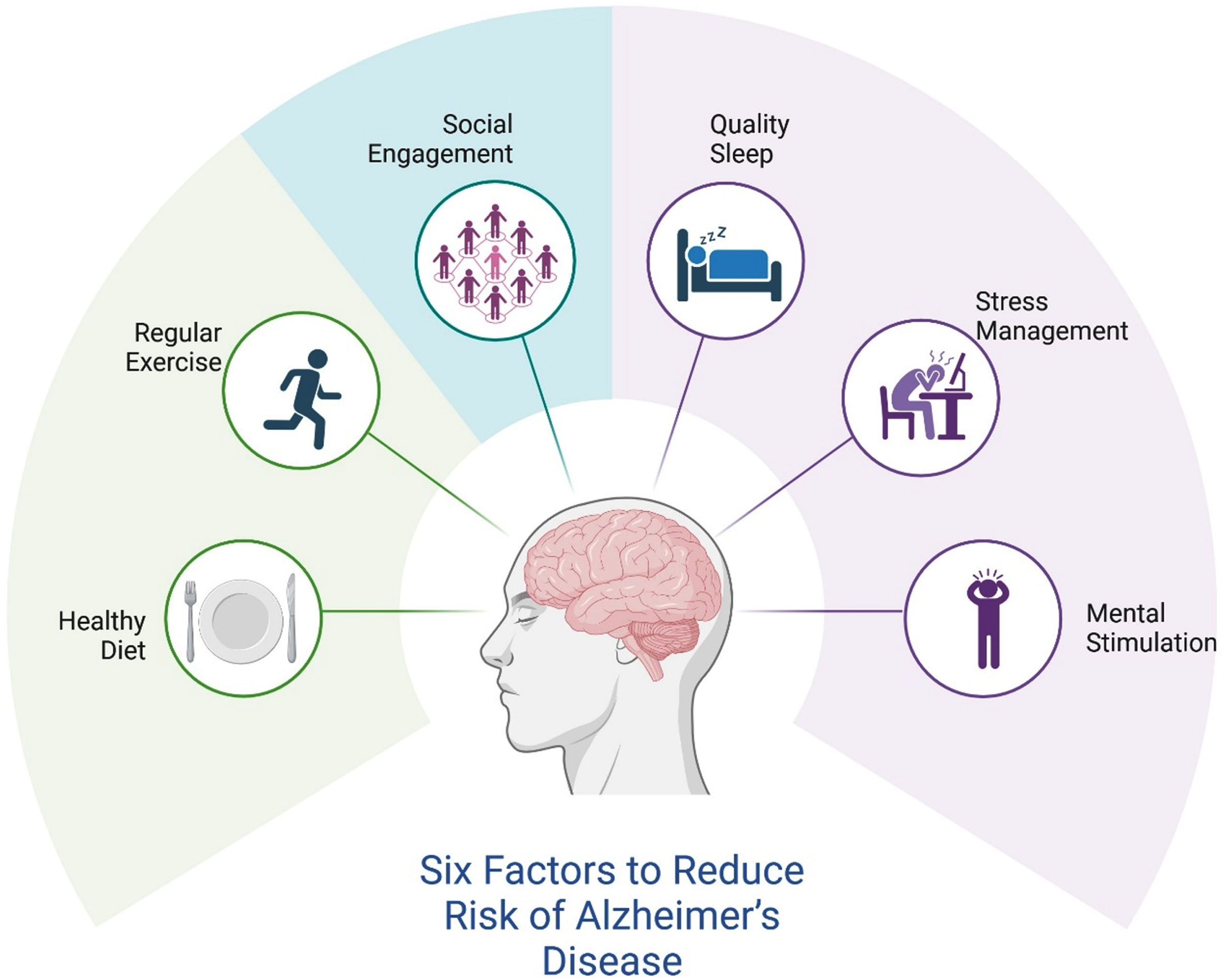 Six key factors to reduce the risk of Alzheimer’s disease. This figure highlights six key lifestyle factors that contribute to reducing the risk of Alzheimer’s disease. Illustrated around a central brain image, the factors include healthy diet, regular exercise, social ì engagement, quality sleep, stress management and mental stimulation. Collectively, these factors emphasize the importance of physical, mental, and social well-being in maintaining cognitive health. Created with BioRender.com.