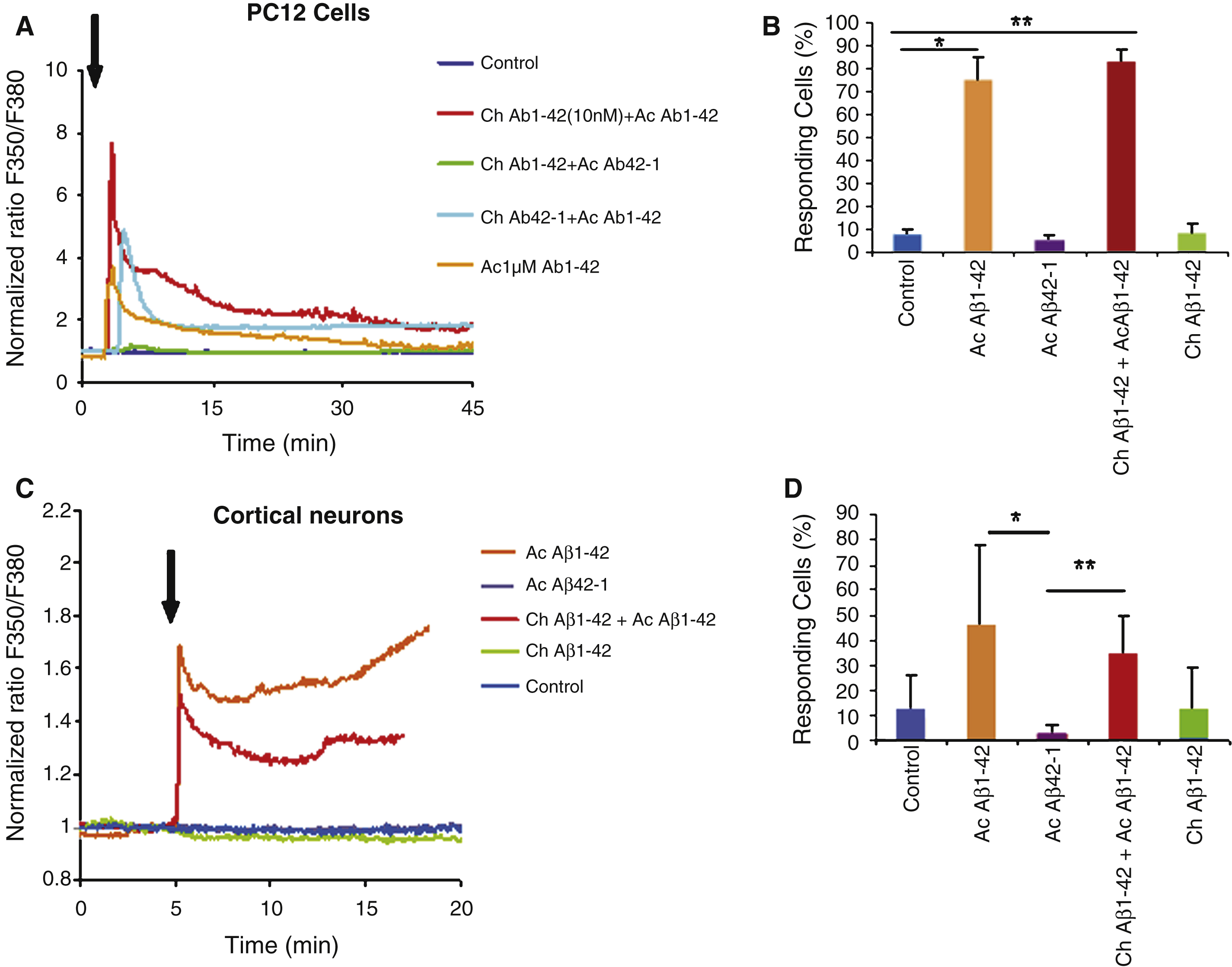 A) Chronic incubation of PC12 cells with 10 nM Aβ1–42 concentration enhances the Ca2+ response induced by subsequent 1 μM Aβ1–42 application. The inactive reverse peptide Aβ42–1 neither induces a Ca2+ response nor modifies the Aβ1–42 -induced response. B) Proportion of observed responding PC12 cells (Mean ± SD). C) Chronic incubation of cultured cortical neurons with 10 nM Aβ1–42 concentrations reduces the Ca2+ response induced by subsequent 1 μM Aβ1–42 application. D) Percentage of observed responding neurons (Mean ± SD). As observed for PC12 cells the reverse peptide Aβ42–1 has no effect on cortical neurons. (Statistics: one way ANOVA and subsequent Bonferroni test;  *p <  0.05;  **p <  0.01; control: vehicle application).