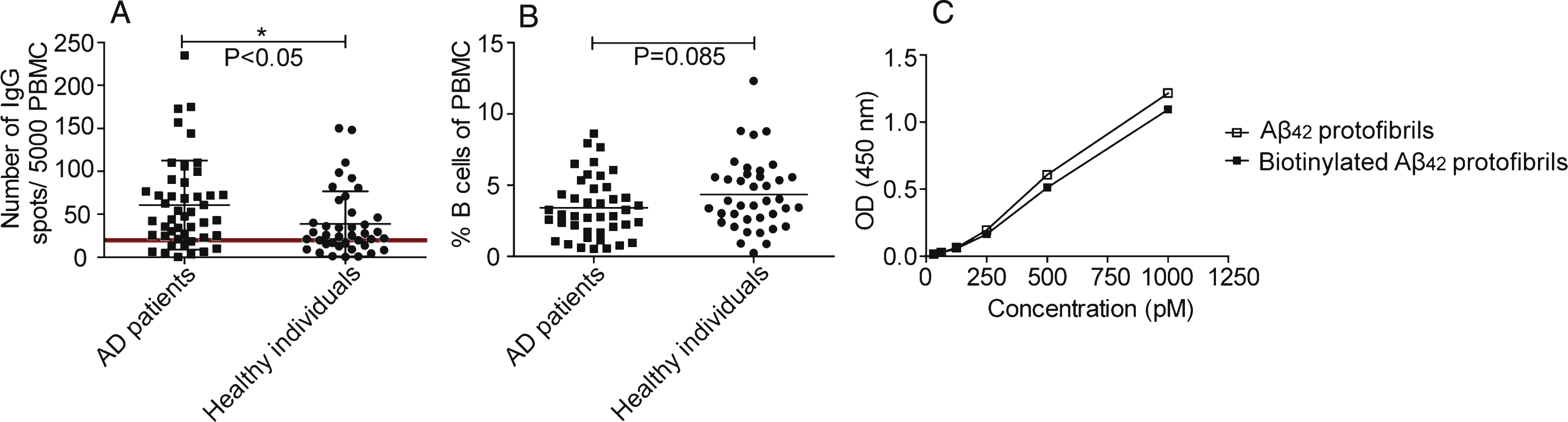 Characterization of PBMCs and validation of the antigen. A) Total IgG production from activated B cells. Number of spots representing IgG producing cells detected in the ELISpot. AD individuals (n = 39) (■) had higher number of spots than healthy controls (n = 30) (•) (p≤0.05). PBMCs from individuals failing activation (spots <20) (AD patients (n = 7), healthy controls (n = 10)) were excluded from the study (below horizontal line). B) B cell levels in AD patients and healthy individuals. The proportion of B cells in PBMCs was defined with flow cytometry by determining the number of CD19+ cells. There was no significant difference in the percentage of B cell in AD patients compared to healthy controls (p = 0.085). C) Aβ42 protofibril evaluation with protofibril specific ELISA. No considerable difference was noticed comparing biotinylated Aβ42 protofibrils with non-biotinylated Aβ42 protofibrils.