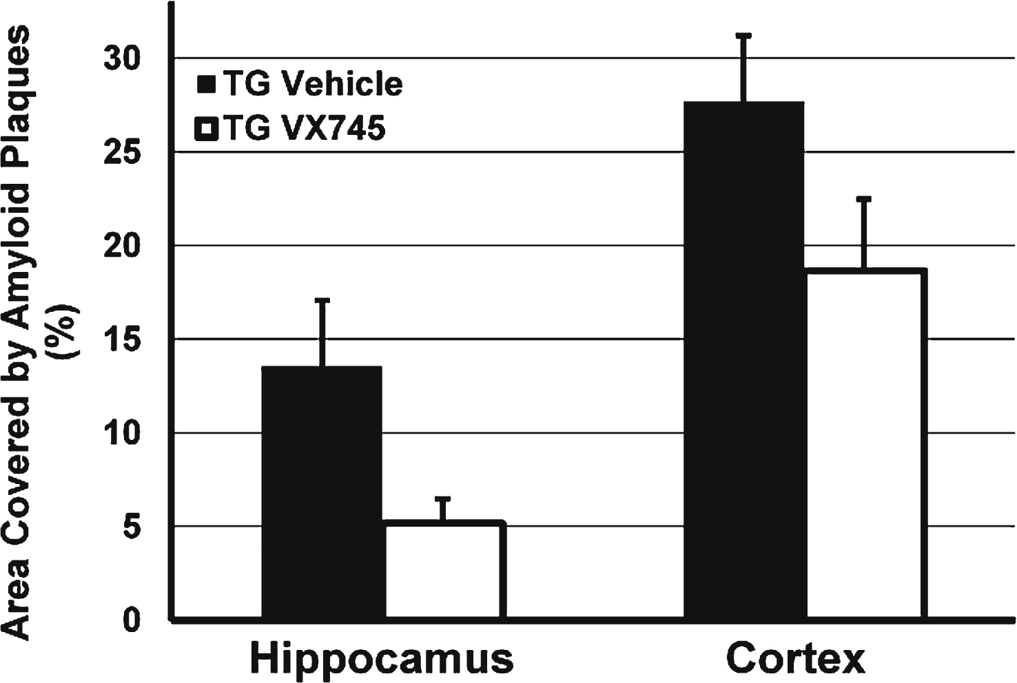 Effects of VX-745 on the area of amyloid plaque in the hippocampus and cortex of Tg2576 mice. Expressed as Mean (±SEM) percentage of total area by immunohistochemistry staining for Aβ. Mice treated with VX-745 (3 mg/kg) demonstrated a statistical trend toward decreased number of amyloid plaques in the hippocampus (p = 0.069, unpaired two-sided t-test), compared to vehicle treated transgenic mice. In addition, amyloid plaque load was numerically lower in the cortex of VX-745-treated lower (p = not significant).
