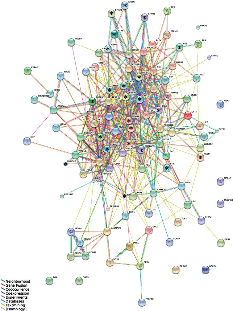 STRING protein-protein interaction network. Network of the interactions between 107 proteins containing the most significant peptides. Stars indicate highly connected proteins with a focus on kinases. Different colors represent different kinds of evidence of connection between proteins. Green represents neighborhood, red gene fusion, bright blue co-occurrence, black co-expression, pink experimental evidence, turquoise database evidence, light green evidence from text mining, and violet homology between the two proteins.