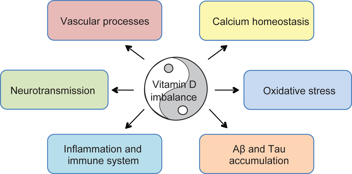 Proposed mechanisms of vitamin D-mediated multi-targeted effects in AD. Vitamin D imbalance is proposed to alter mechanisms implicated in aging and AD pathogenesis. Suggested protective effects of vitamin D supplementation concern regulation of vascular processes and oxidative stress, calcium homeostasis, neurotransmission, modulation of immune and inflammatory processes, and direct impact on amyloidogenesis, ultimately improving cognitive functions.