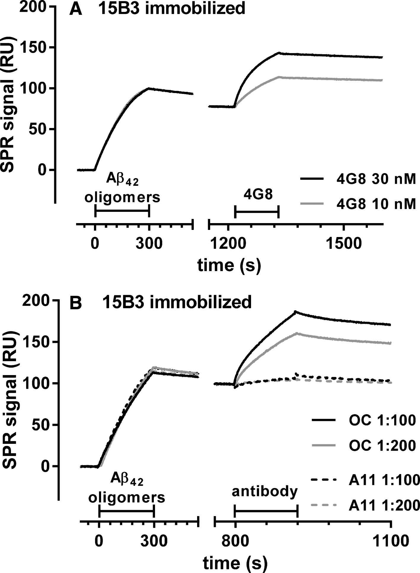SPR studies showing binding of 4G8 and OC, but not A11, to 15B3-captured Aβ42 oligomers—Synthetic Aβ42 (100 μM) was incubated at 25°C, sampled after 5 h, diluted to 1 μM in 10 mM PBS, pH 7.4, and injected over immobilized 15B3 (batch # 071114A) for 5 min, followed by injection of two different concentrations of 4G8 (A), OC or A11 (B) antibodies for 2 min (bars). The binding of 4G8 to captured oligomers (A) confirms the data shown in Fig. 1D. The experiment shown in B was replicated three times with very similar results.