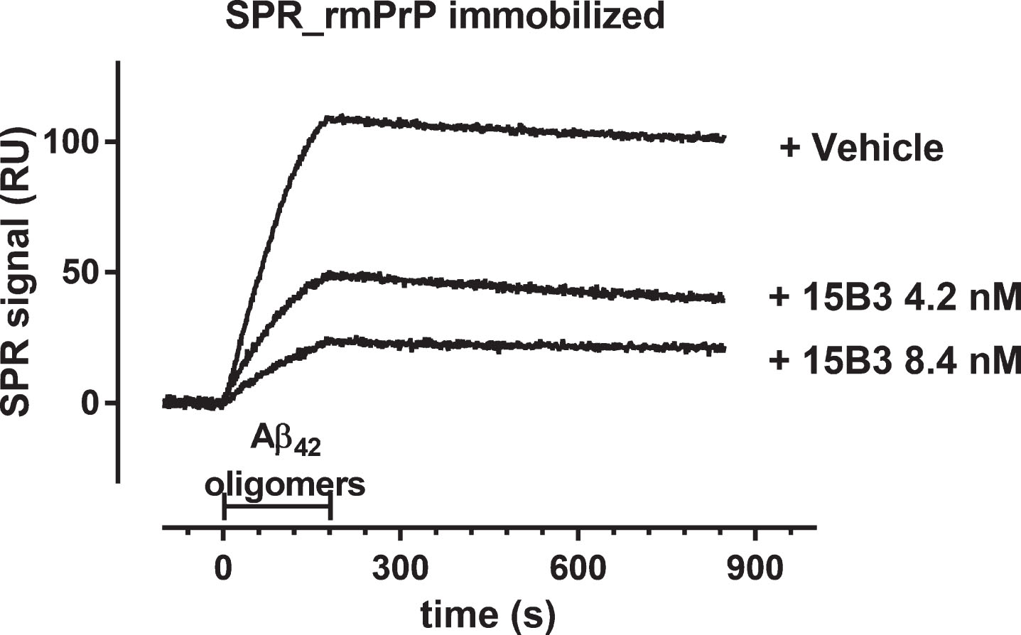Effect of 15B3 on the binding of Aβ42 oligomers to recombinant mouse PrP (rmPrP) immobilized on the sensor chip—Synthetic Aβ42 (100 μM) was incubated at 25°C, sampled after 5 h, diluted to 1 μM in 10 mM PBS, pH 7.4, and incubated for another 30 min with or without 15B3 (4.2 and 8.4 nM, lot# 061013). Aliquots were then injected for 3 min (bar) over immobilized rmPrP. The figure shows the sensorgrams (time course of the SPR signal expressed in resonance units, RU) from a representative experiment. This study was replicated twice with very similar results.