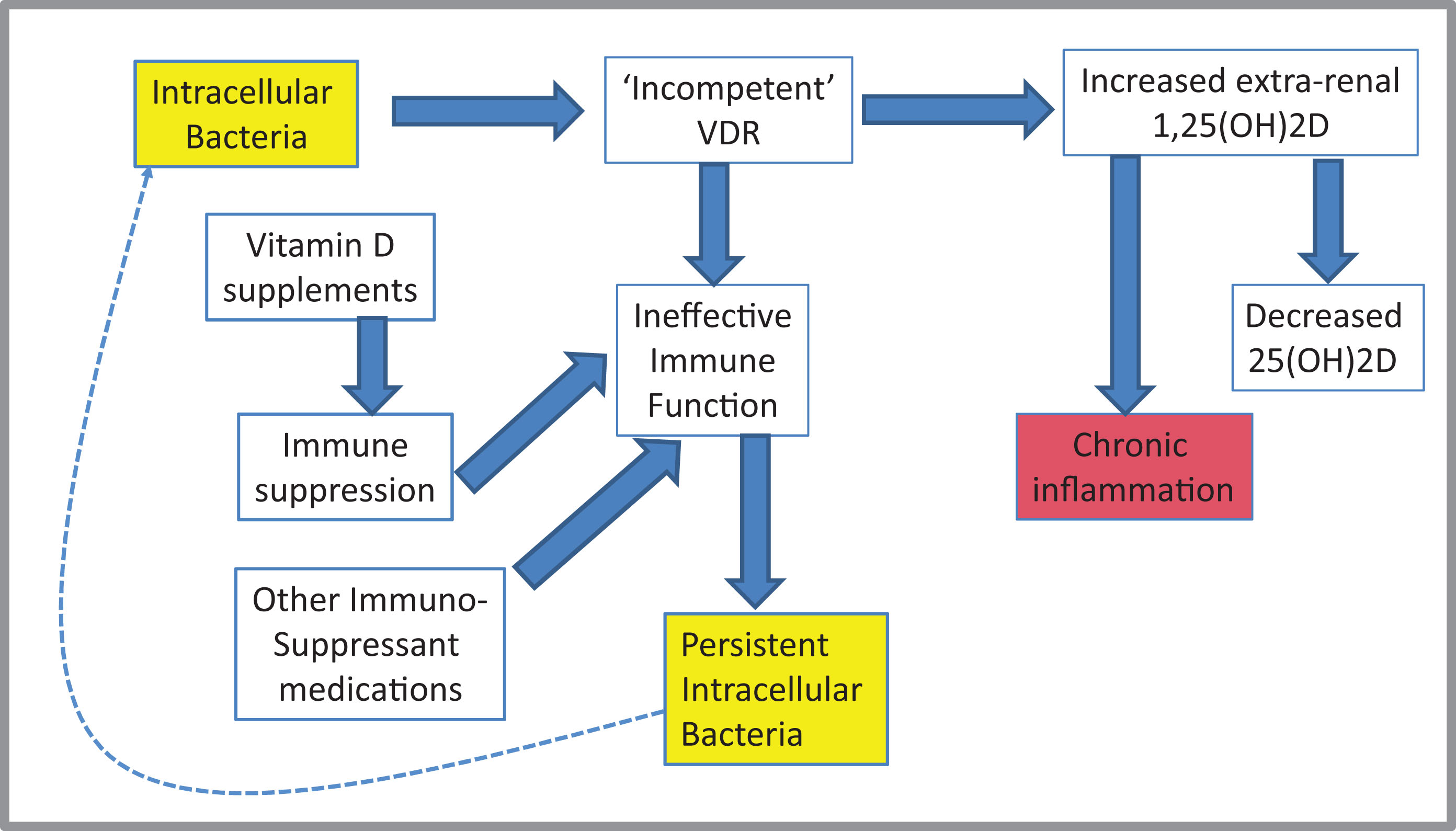 A general scheme of some of the roles of vitamin D and its metabolites in chronic infection: (essentially as redrawn from [235]).