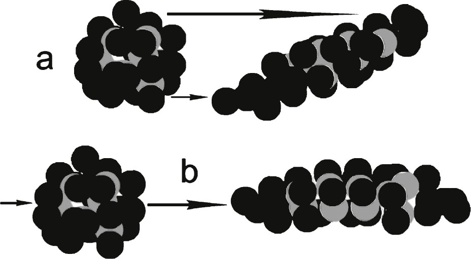 Hypothetical protein showing gray balls as hydrophobic groups and black balls as hydrophilic groups. The protein in (a) has undergone severe laminar shear to emphasize the resulting increased exposure of hydrophobic groups to the surrounding solvent. The same is true in (b) for extensional shear, where the molecule is essentially pulled lengthwise. Models are purely hypothetical. Energy is added to the molecule in both (a) and (b) forming unstable molecules. Most brain shear events probably have contributions of both (a) and (b) types of shear.