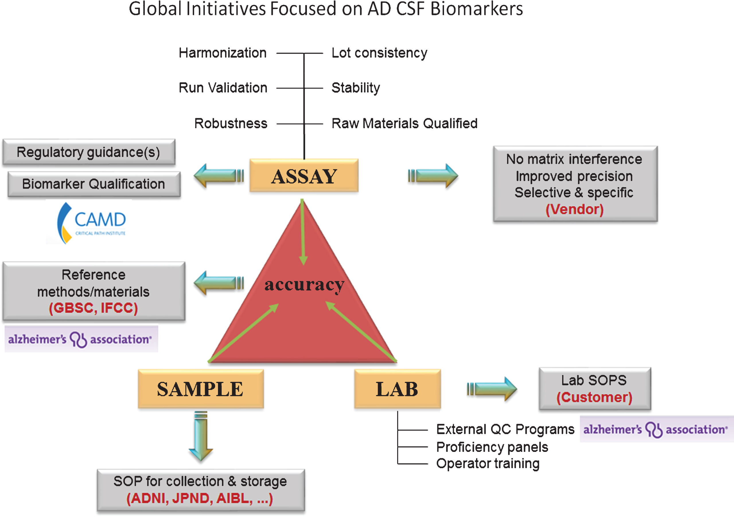Current global initiatives focused on AD CSF biomarkers. Involvement of worldwide consortia in the standardization of CSF biomarker analysis at the level of the assay, the sample, and the laboratory. Grey box: the need for the future. ADNI, Alzheimer’s disease neuroimaging initiative; AIBL, The Australian Imaging, Biomarker & Lifestyle Flagship Study of Ageing; CAMD, Coalition Against Major Diseases; GBSC, Global Biomarker Standardization Initiative; IFCC, International Federation of Clinical Chemistry; JPND, EU Joint Programme - Neurodegenerative Disease Research (JPND); QC, quality control; SOP, standard operating procedure.