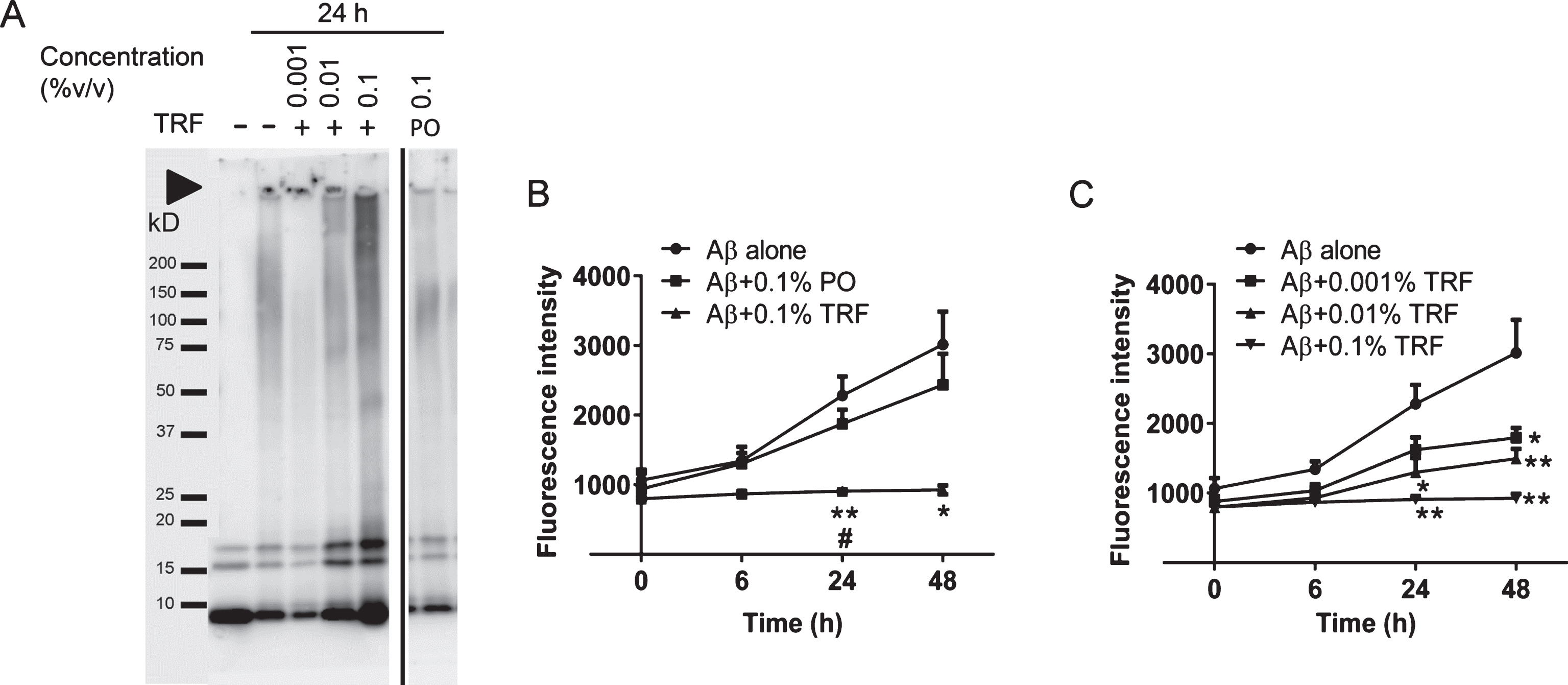 In vitro treatment with the tocotrienol-rich fraction (TRF) of palm oil prevents Aβ42 aggregation. A) Aβ42 samples treated with TRF, palm oil stripped of vitamin E (PO), or vehicle (5% ethanol in phosphate-buffered saline) for 24 h at 37°C were subjected to sodium dodecyl sulfate-polyacrylamide gel electrophoresis. TRF-treated Aβ42 at final concentration of 0.1% v/v displayed a marked smear and intense bands compared to non-treated and PO-treated Aβ42. Amyloid-β42 incubated with 0.001%, 0.01%, or 0.1% v/v of TRF showed increasing in the density of smear and bands at concentration-dependent manner. Arrowhead indicates the top of the gel (A). B) Thioflavin T fluorescence intensity measured after 0-, 6-, 24-, and 48-h incubation of Aβ42 with vehicle (Aβ42 alone), PO, or TRF. Fluorescence intensity increased with time, indicating progressive Aβ42 fibril formation. This process was significantly slowed by TRF and PO. C) The inhibitory effect of TRF on fibril formation was concentration dependent. Data presented as mean±S.E.M. Significance (Bonferroni post hoc test after analysis of variance): *p < 0.05, **p < 0.01 versus Aβ alone; #p < 0.01 versus Aβ + 0.1% PO.