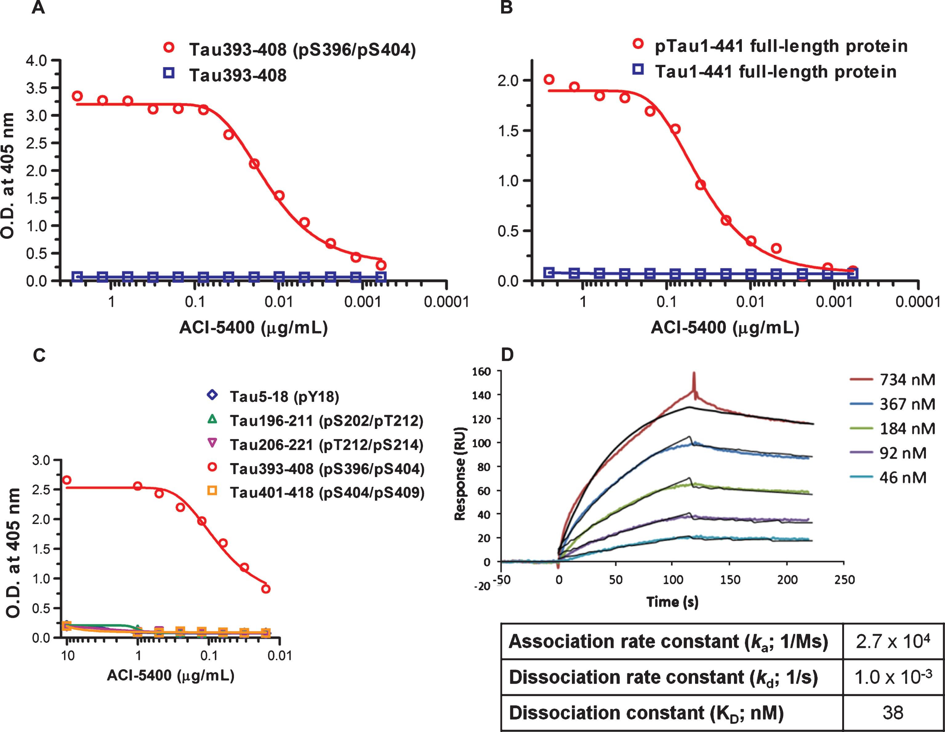 ACI-5400 reacts selectively with phosphorylated Tau protein and peptide in ELISA and Surface Plasmon Resonance. ELISA with increasing concentrations of ACI-5400 revealed the selectivity of the antibody for the phosphorylated form of the synthetic Tau393–408 (pS396/pS404) peptide (A) and for full-length pTau1-441 protein (B). No binding was observed to the corresponding non-phosphorylated peptide or protein Tau, or peptides corresponding to different Tau phospho sites (C). No binding was detected to the corresponding non-phosphorylated Tau peptides (not shown). Binding of antibody ACI-5400 at different concentrations as indicated, to the immobilized Tau393-408 (pS396/pS404) peptide (D). The colored curves are the SPR sensorgrams, whereas the black curves are fitted using a 1 : 1 Langmuir binding model.
