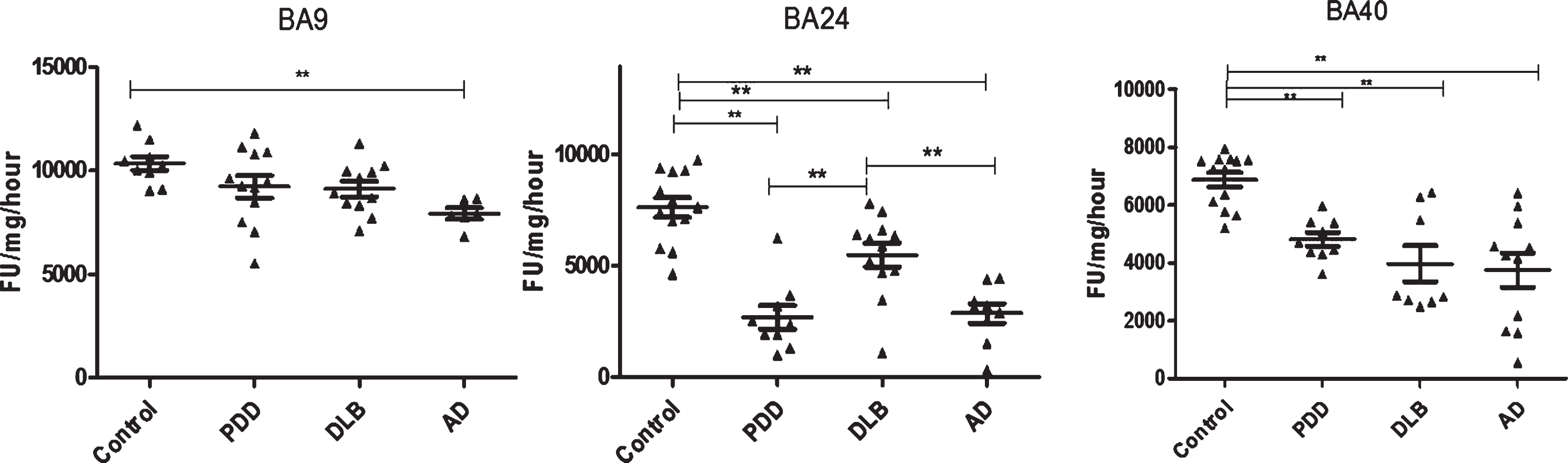 Analysis of PGPH-like activities in brain homogenates from BA9, BA40, and BA24 of DLB, PDD, AD, and controls. Scatter plots are shown of PGPH-like activity measurement in BA9, BA40, and BA24 homogenates from DLB, PDD, AD, and normal control samples using the fluorogenic substrate assay. Activities are expressed as fluorescence units (FU)/mg protein/hour. BA9: PGPH-like activity was significantly decreased only in AD patients (p = 0.012, n = 6) compared with the control (n = 9); DLB and PDD groups were lower compared with the control subjects, but there was no statistically significant difference between them. The values for the ANOVA for PGPH-like activity measurement in BA9 were: F = 7.897, d.f. = 3, 34, p = 0.001). BA40; the differences between the patients’ groups (PDD, DLB, and AD) and the control were statistically different (one-way ANOVA, F = 10.263, d.f. = 3 and 42, p = 0.001;). The reduction in PGPH-like activity was higher in the AD group with a mean±SEM value of 3741.8±587.5, n = 11, compared with 1.28±0.028, n = 24 for the controls. The reduction in both DLB and PDD were also significant with a mean±SEM value of 4133.7±640, n = 10 and 4809±240, n = 9 compared with control (Bonferroni post hoc test). In BA24, there was a significant difference between DLB (p = 0.013, n = 12), PDD (P = 0.001, n = 9) and AD (P = 0.001, n = 9) compared with the control (n = 13) (one-way ANOVA, F = 23.087, d.f. = 3 and 39, p = 0.001; Bonferroni post hoc test). PGPH-like activity measurements were significant lower in both AD (p = 0.004, n = 9) and PDD (p = 0.002, n = 9) compared with DLB subjects. The horizontal bars within the data points in the graphs represent the mean values. (**p < 0.01).