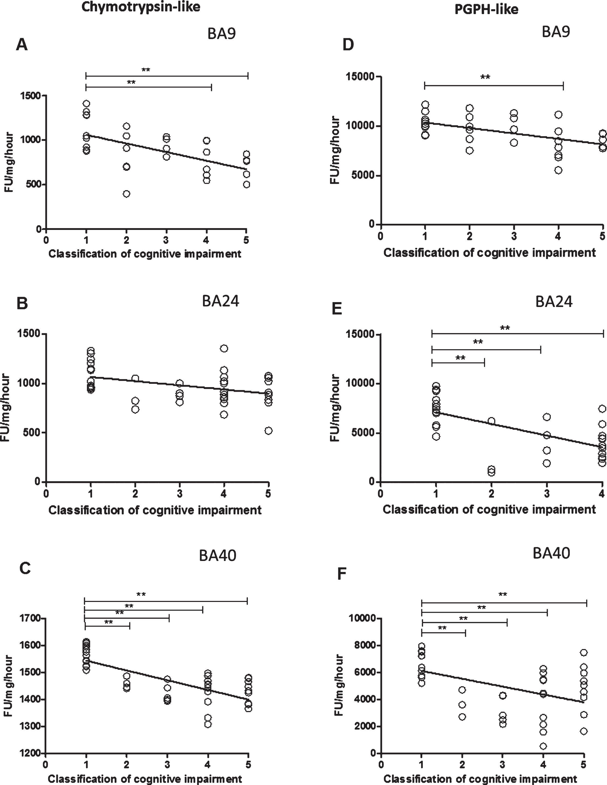 The relationship between Chymotrypsin- and PGPH-like proteasome activity measurement levels and cognitive impairment based upon MMSE classification. Chymotrypsin- and PGPH-like proteasome activity measurement levels, using fluorogenic substrate assay, predicted cognitive impairment in BA9, BA24, and BA40. Regression analysis showed Chymotrypsin-like and PGPH proteasome activity to be a significant predictor of cognitive impairment in BA9 (A and D, R2 = 0.337, beta = –0.581, [df] = 1, 29, t = –3.84, p = 0.001, R2 = 0.275, beta = –0.524, [df] = 1, 29, t = –3.315, p = 0.002), in BA24 (B and E, R2 = 0.151, beta = –0.388, [df] = 1, 38, t = –2.599, p = 0.013, R2 = 0.371, beta = –0.609, [df] = 1, 38, t = –4.733, p = 0.001), and in BA40 (C and F, R2 = 0.531, beta = –0.728, [df] = 1, 40, t = –6.72, p = 0.001, R2 = 0.217, beta = –0.466, [df] = 1, 38, t = –3.244, p = 0.002). The difference in mean Chymotrypsin-like and PGPH proteasome activity measurement levels between different cognitive impairment groups was analyzed by one-way ANOVA and the Bonferroni post hoc test, which revealed high chymotrypsin-like activity in the controls compared with moderate (p = 0.014) and severe scores (p = 0.01) (one-way ANOVA F = 5.009, d.f.  = 4 and 26, p = 0.004; Bonferroni post hoc test). There was a high PGPH-like activity in unimpaired cognition compared with the moderate groups (one-way ANOVA F = 3.616, d.f.  = 4 and 26, p = 0.004; Bonferroni post hoc test). In BA24, there was higher PGPH-like activity in unimpaired cognition group compared with MCI (p = 0.03), mild (p = 0.024), moderate (p = 0.001) and severe scores (p = 0.001) (one-way ANOVA F = 9.839, d.f.  = 4 and 35, p = 0.001; Bonferroni post hoc test). In BA40 the level of chymotrypsin-like activity was significantly higher in the controls compared with MCI (p = 0.001), mild (p = 0.001), moderate (p = 0.001) and severe scores (p = 0.001) (one-way ANOVA F = 21.845, d.f.  = 4 and 37, p = 0.001; Bonferroni post hoc test). There was a higher level of PGPH-like activity in unimpaired cognition group compared with MCI (p = 0.02), mild (p = 0.001), moderate (p = 0.001) and severe scores (p = 0.034) (one-way ANOVA F = 8.851, d.f.  = 4 and 35, p = 0.001; Bonferroni post hoc test). (**p < 0.01).