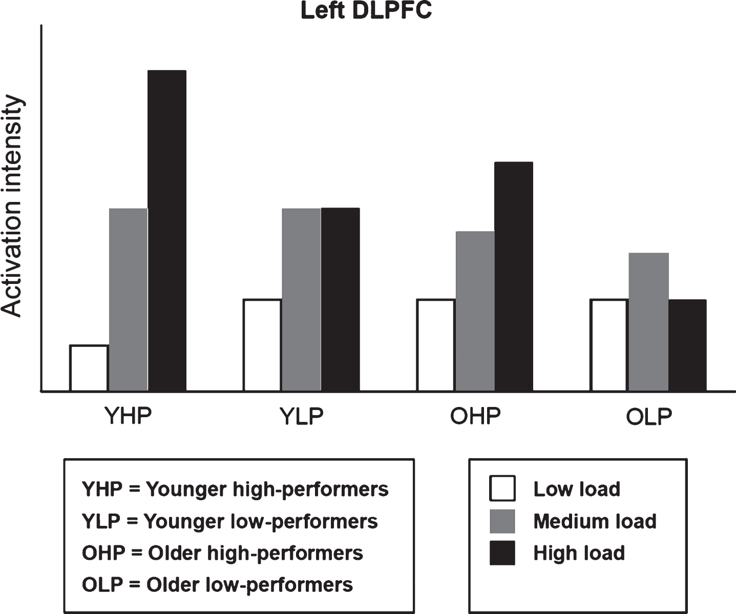Hypothetical model of left dorsolateral prefrontal cortex (DLPFC) activation modulated by age and performance level (particularly based upon the results of Nagel et al. [69] and Bauer et al. [86]). The bar chart indicates a flexible upregulation of DLPFC activation in YHP as neural response to increasing load. OHP show a similar though less differentiated pattern indicating a flexible recruitment of neural resources similar to that of YHP. By contrast, neural resources appear to be exhausted at medium or low load in YLP, and OLP respectively. Please notice that qualitative group differences are shown; exact quantitative relations were not considered.