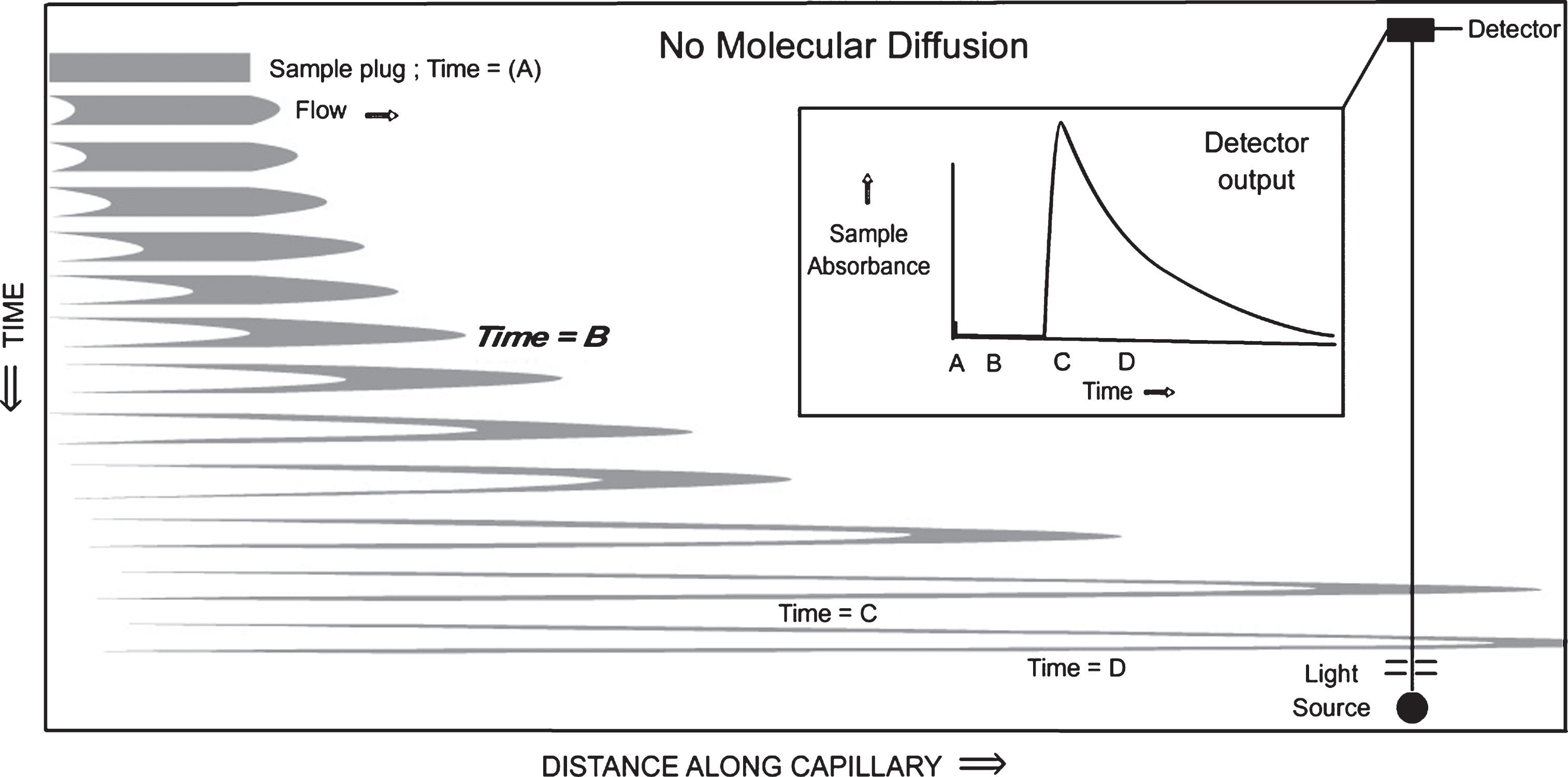 Time-lapse snapshots of an axial cross section of a sample profile travelling down a capillary, distorted by laminar flow. In this figure, it is assumed that there is no diffusion of the sample molecules outside the gray borders.