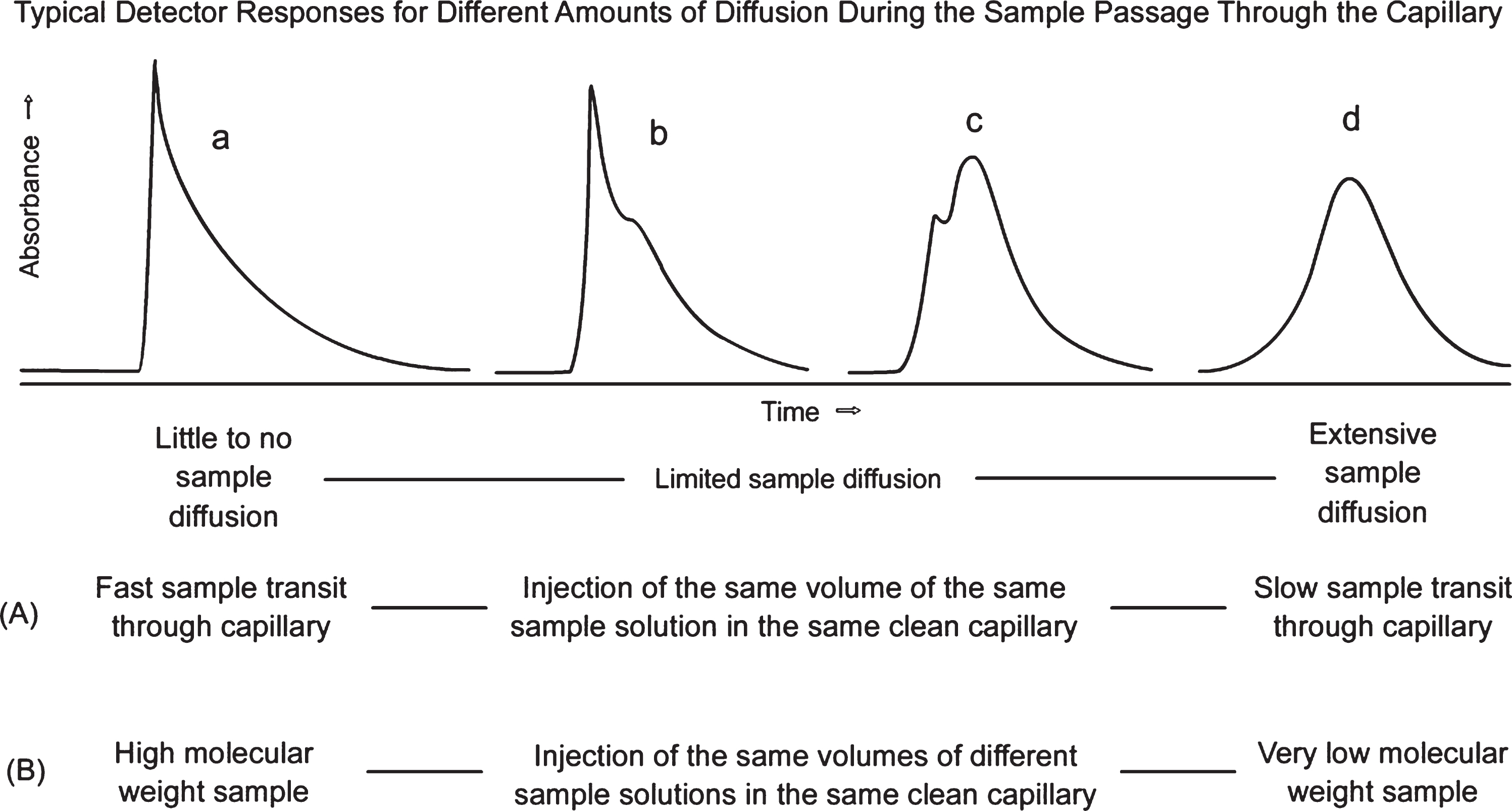 Eluting sample concentration versus time curves under different experimental circumstances: (A) effects of different mobile phase flow rates on resulting curve shapes for a single protein sample; (B) effects of sample molecule molecular weights reflected by different diffusion coefficients.