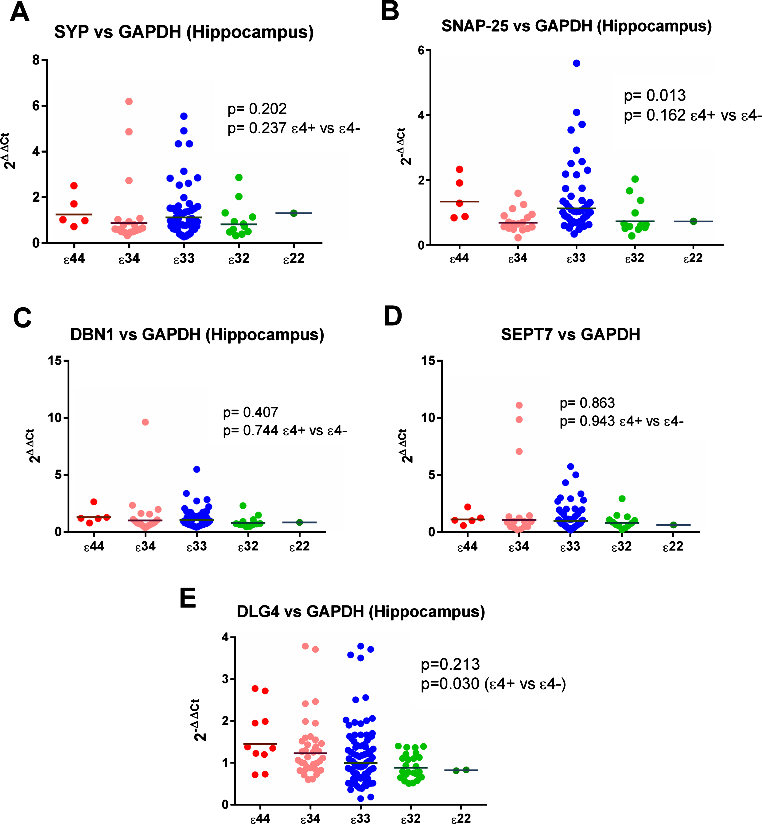 Results from the gene expression study in the hippocampus with GAPDH used as the reference gene. As shown in (E), expression of DLG4 (the gene for PSD-95) appeared to be increased in ɛ4 carriers.