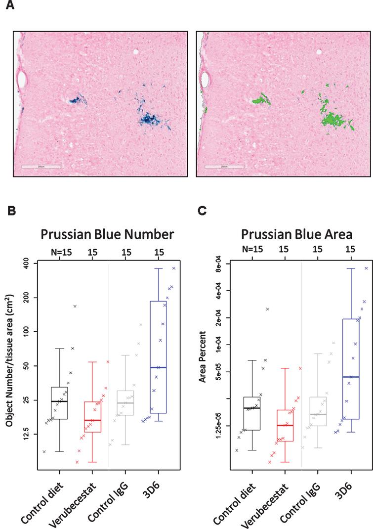 Prussian blue detected microhemorrhage following 12 weeks of treatment. A) Example of Prussian blue positive MH (left) and the corresponding image analysis mask (right) that defines positive pixels. B) Summary of Prussian blue positive object number across treatment groups. C) Summary of fractional Prussian blue object area across treatment groups. B and C show a boxplot for the indicated group with a line drawn at the median and the individual values overlaid. Sample sizes are given on the top axis.