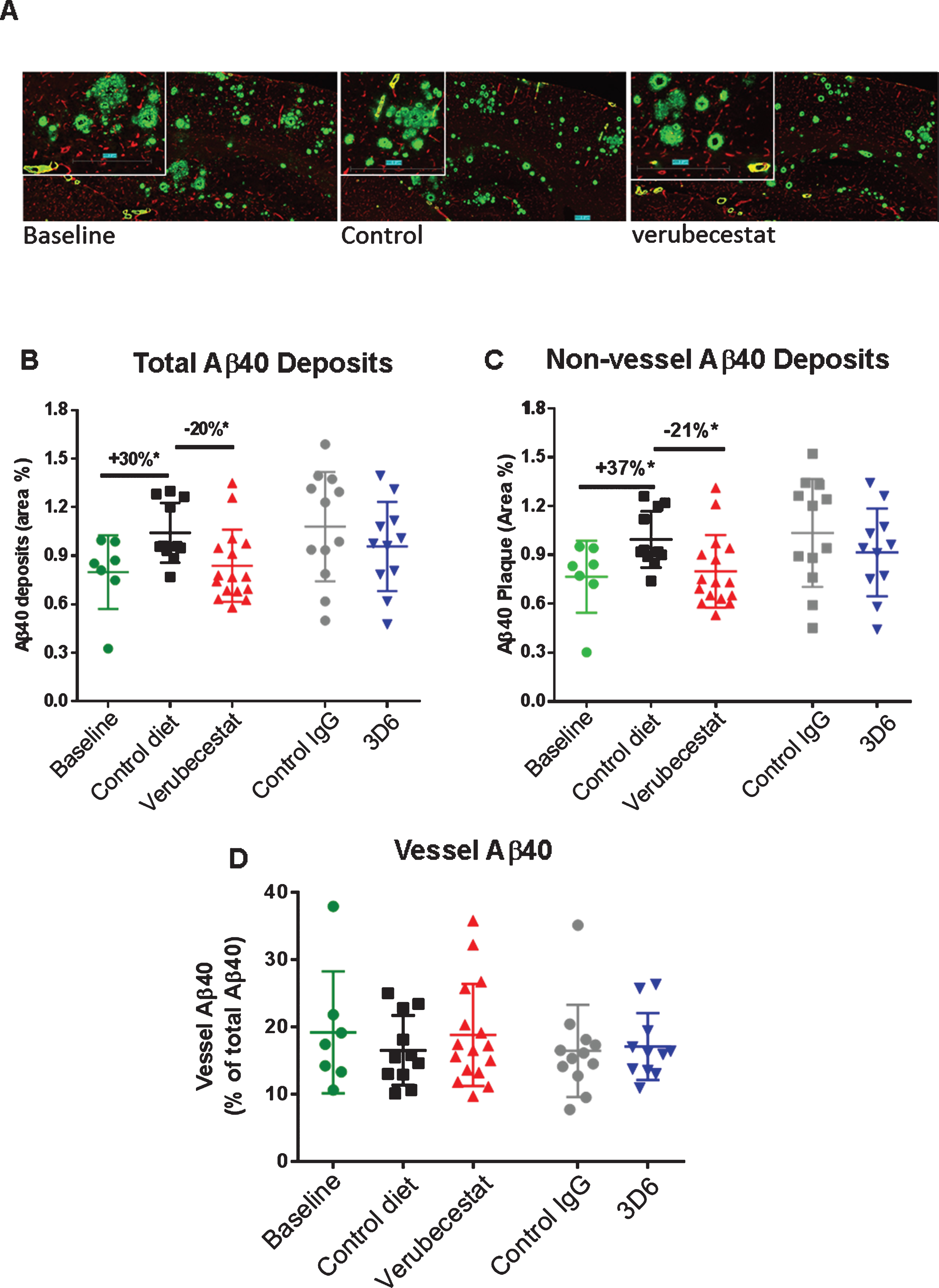 Analysis of total, non-vessel and vessel-associated anti-Aβ40 reactive deposits. A) Representative images of baseline (left), control (vehicle) diet-treated (middle), and verubecestat-treated mouse stained with the C-terminal specific anti-Aβ40 antibody, G2-10 (green) and with an anti-collagen IV antibody to label all blood vessels (red). Scale bar = 500 microns. Magnified insets are to allow for closer inspection of staining profiles. B) Fractional area of total Aβ40-immunoreactive deposits. C) Fractional area of non-vessel Aβ40 deposits determined by subtraction of the area of Aβ40 co-localized with collagen IV positive pixels from the total Aβ40 area and normalized to the total area of the region analyzed. D) The fraction of the Aβ40 deposits associated with vessels as defined by co-localization with collagen IV positive pixels. *p < 0.05, two-tailed t-tests (pairwise). Data are mean±sd.