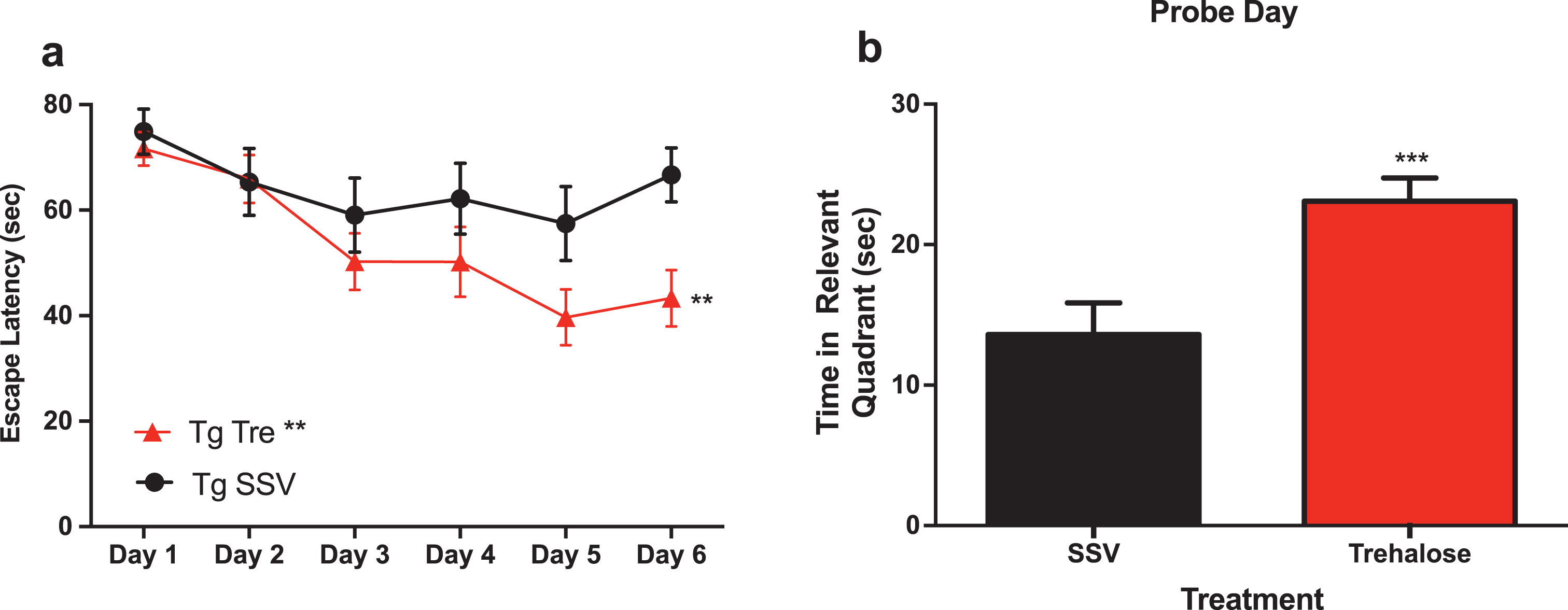 Trehalose treatment improves cognitive performance of Tg2576 mice in the Morris water maze. Two-way repeated measures ANOVA (++p < 0.0081) revealed a significant decrease in escape latency for Tg2576 trehalose treated mice compared to Tg2576 SSV treated litter mate controls over the course of the trial (Fig. 1a). A Bonferroni’s post-hoc analysis further revealed a significant decrease in latency for trehalose treated mice on day six (*p = 0.0233). Two-tailed t-test revealed a significant (***p < 0.0003) increase in time spent in the relevant quadrant for trehalose treated Tg2576 mice compared to SSV treated Tg2576 control littermates on probe day (Fig. 3b).