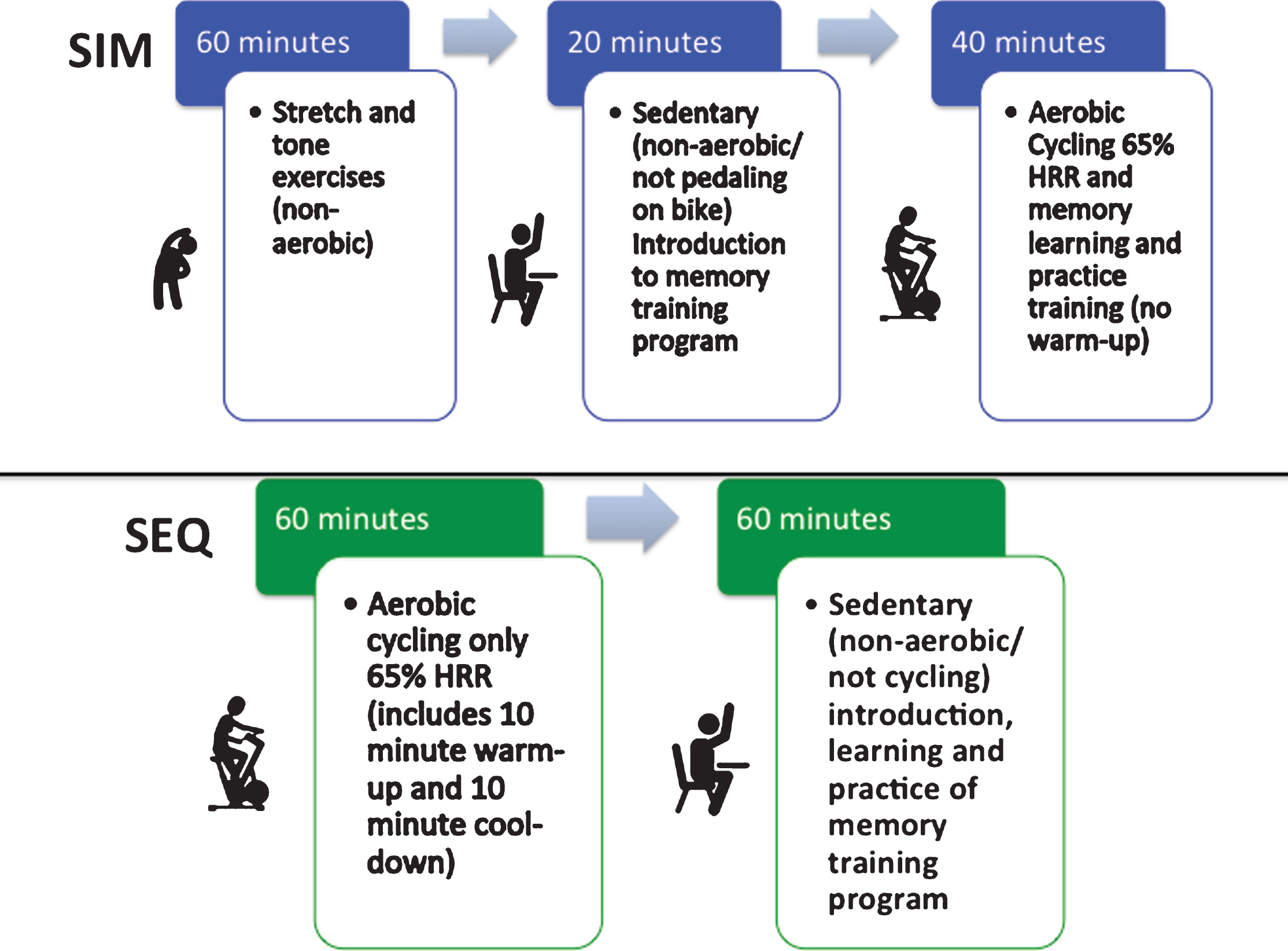Composition of the small group, trainer led, simultaneous (SIM) exercise and memory training or sequential (SEQ) exercise then memory training, 2-hour training sessions.