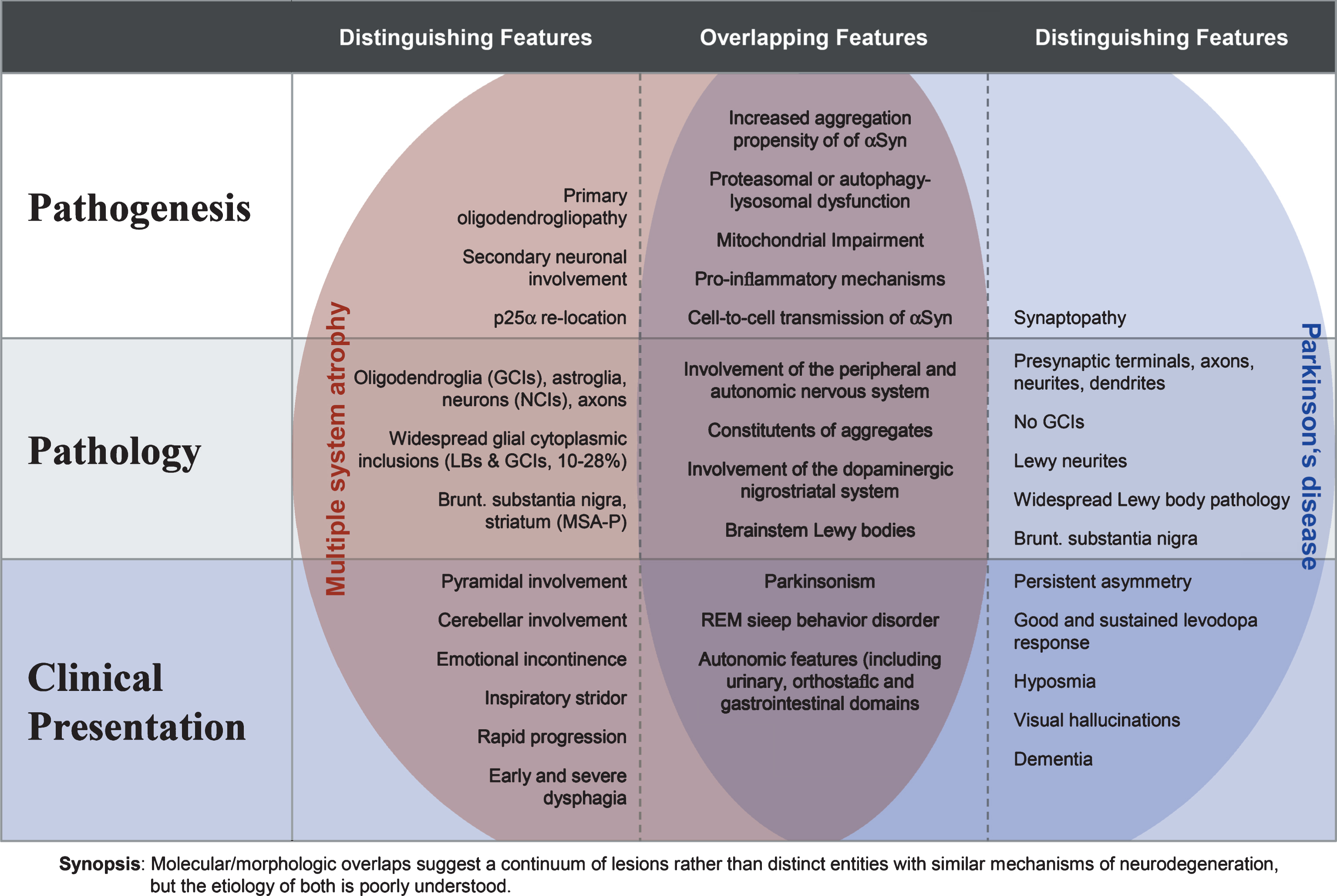 Overlapping and distinguishing features of MSA and PD at the pathogenic, neuropathologic and clinical level (modified from [22]).