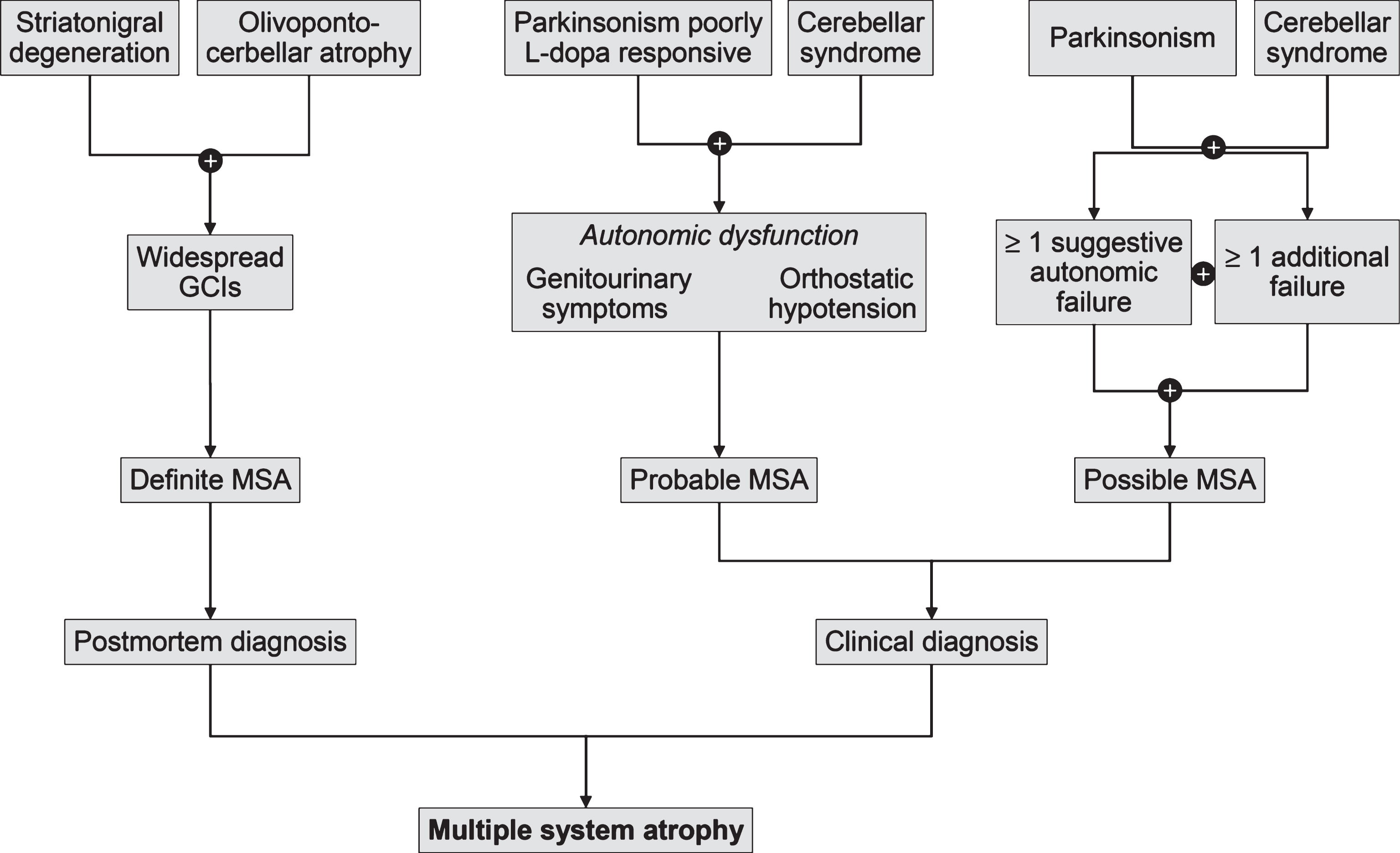 Diagnostic scheme for MSA according to the current consensus diagnostic criteria.