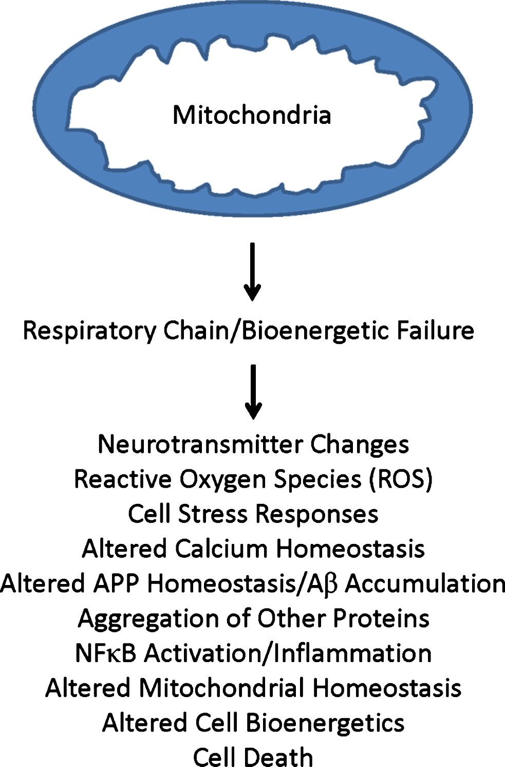 Primary mitochondrial cascade. A primary mitochondrial cascade is incompatible with the amyloid cascade hypothesis. Under this scenario, impaired mitochondrial function and associated bioenergetic changes alter Aβ homeostasis and lead to an accumulation of Aβ. Aβ may or may not in turn contribute to the development of other AD-associated functional changes and pathologies.