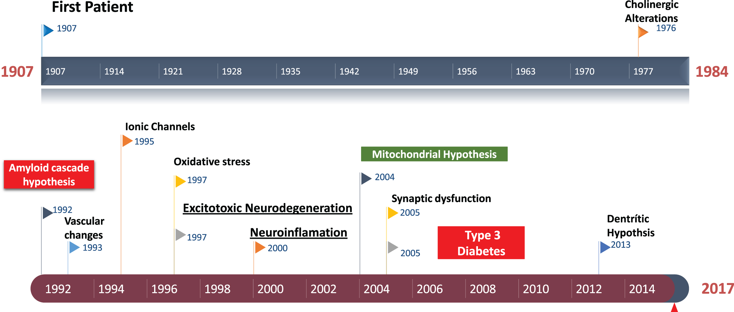 Historical perspective of Alzheimer’s disease. Amyloid cascade hypothesis was suggested in 1992. The role of excitotoxicity in AD was suggested about 1997.