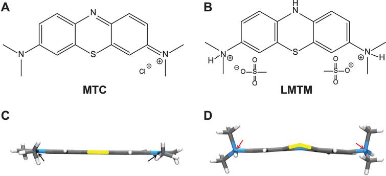 Structures of the diaminophenothiazines MTC and LMTM. Methylthioninium is a diaminophenothiazine which exists in a redox equilibrium between oxidized and reduced forms, represented here as MTC and LMTM (A, B), respectively. The X-ray crystal structures of the molecules shown below each form are distinct from each other (C, D); the nitrogen atoms are planar in the case of MTC and tetrahedral for LMTM (red arrows). The geometry of the nitrogen atoms contributes to the stability of LMTM in an oxygen atmosphere in its crystalline form as the dihydromesylate salt.