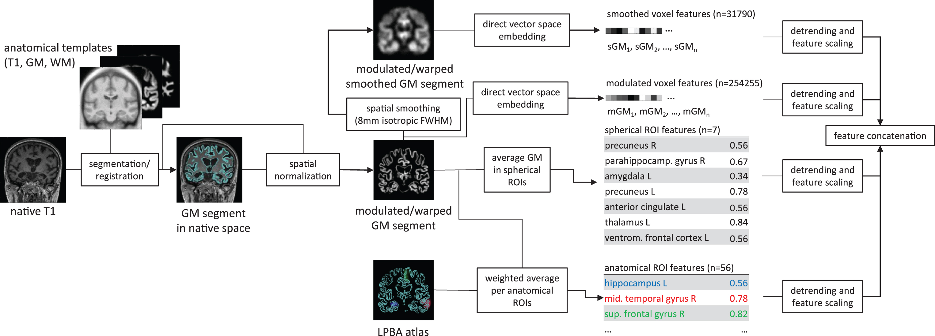 Data pre-processing for extraction of the raw features for each individual T1 weighted image. The pipeline extracts four different features sets from the native T1 image, including smoothed and unsmoothed voxel-wise local grey matter (GM) volumes, average GM volumes of seven ROIs identified in an independent meta-analysis [8], as well as weighted averages of local GM volumes weighted by the LONI probabilistic brain atlas (LPBA) [47]. The estimation of local grey matter was computed using the VBM8 toolbox (http://www.neuro.uni-jena.de/vbm/) with default parameters and modulation by the Jacobian determinant of the local non-linear deformation field. The number of features per feature set varies between 7 (spherical ROI features) and 254255 (unsmoothed voxel features).