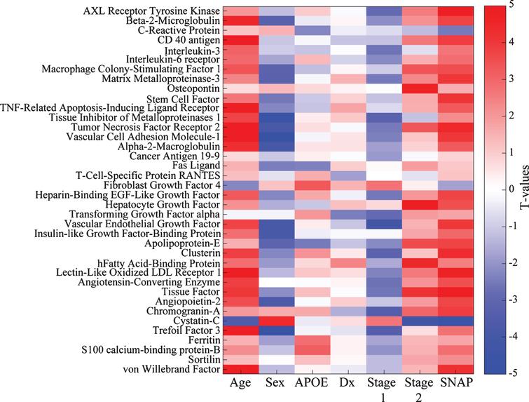 Bayes factor analysis identifies 38 ADNI CSF markers potentially associated with pathological stage. Shown is a matrix representation of linear regression models predicting association of 38 CSF marker levels with pathological stage with adjustment for age, gender, clinical diagnostic category, and APOE status. T-values for each association are reported. For categorical variables, the results are shown as comparisons against a reference. For gender, the reference category is male; for APOE it is non-carriage of ɛ4; for diagnosis (Dx), healthy control; and for pathological stage, Stage 0 (no abnormality).