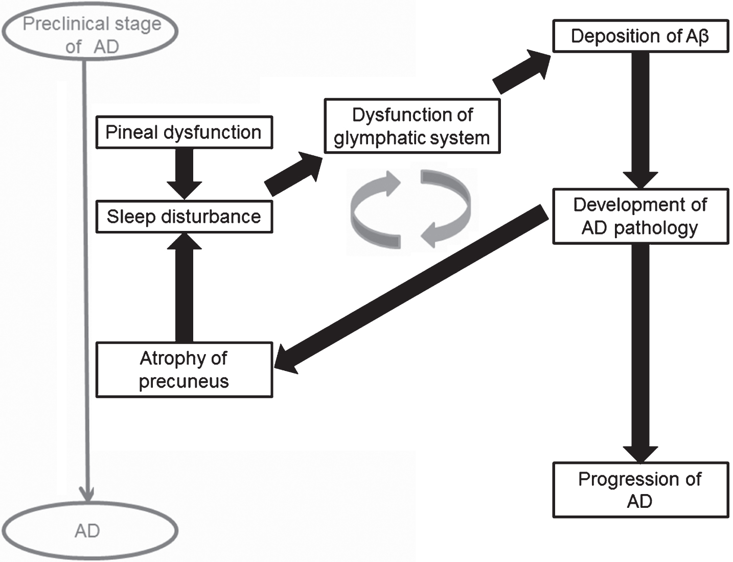 Hypothesis of mechanism of sleep disturbance in Alzheimer’s disease (AD).