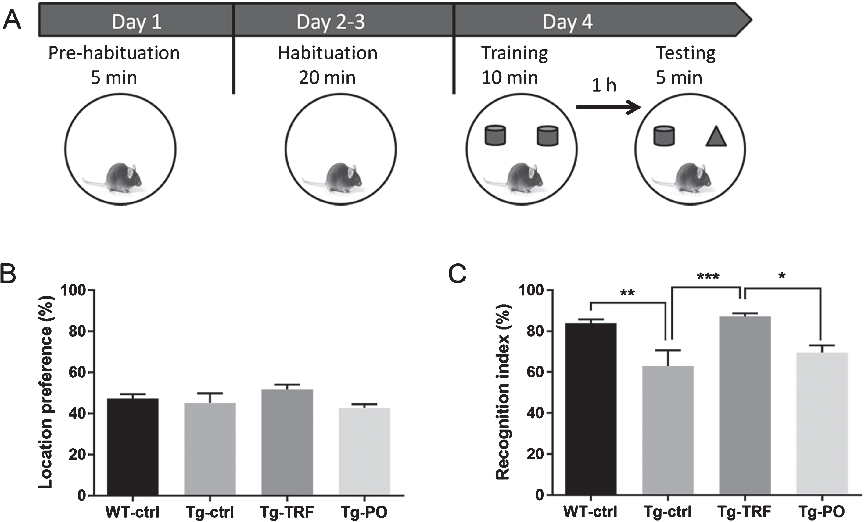 Administration with tocotrienol-rich fraction (TRF) prevents working memory deficit in AβPP/PS1 mice as measured by the novel object recognition task. A) Schematic representation of the novel object recognition test. Following pre-habituation and habituation in the empty arena, mice were allowed to explore an identical pair of objects placed in the arena for 10 min as the training session. After a 1 h stay in the home cage, the mice were returned to the arena where two objects, one familiar and one novel, were placed in the same locations as in the training session. The time spent exploring the two objects was recorded. B) All groups spent approximately equal time exploring the two identical objects during the training trial, indicating no inherent place preference. C) Tg-ctrl mice spent significantly less time exploring the novel object compared to WT-ctrl mice as indicated by the lower mean recognition index, while TRF treatment of Tg mice (Tg-TRF group) increased the recognition index to the WT-ctrl level. Data represent mean±S.E.M. [Bonferroni post hoc test after analysis of variance (WT-ctrl, n = 12; Tg-ctrl, n = 8; Tg-TRF; n = 9; Tg-PO, n = 9)]. *p < 0.05, **p < 0.01, ***p < 0.001.
