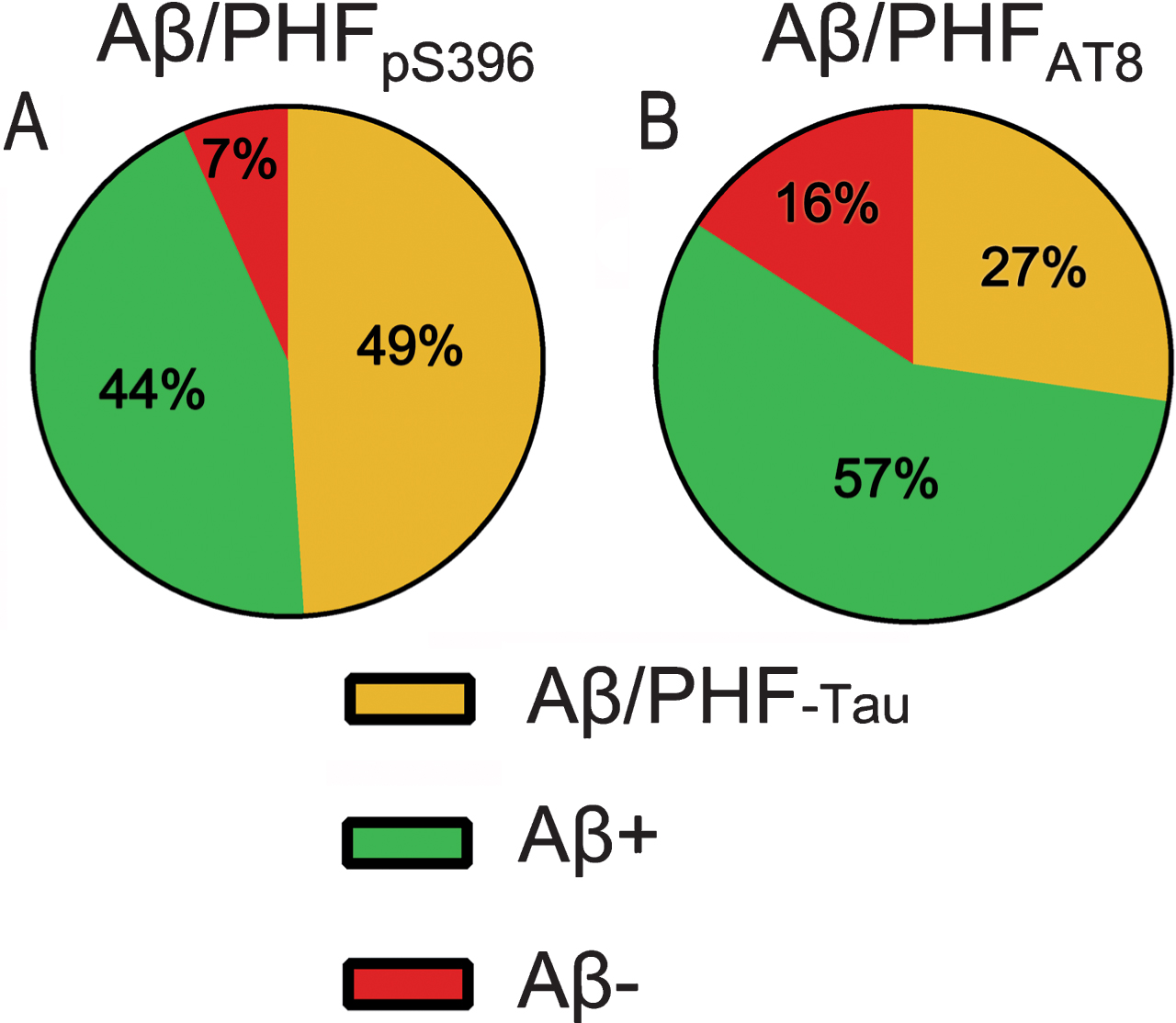 Pie charts showing the percentages of labeled plaques in double immunostaining studies: Aβ/PHFpS396 (A) and Aβ/PHFAT8 (B) combinations are shown. Both analyses displayed a higher proportion of plaques showing Aβ-ir and a much-reduced portion of negative Aβ plaques.