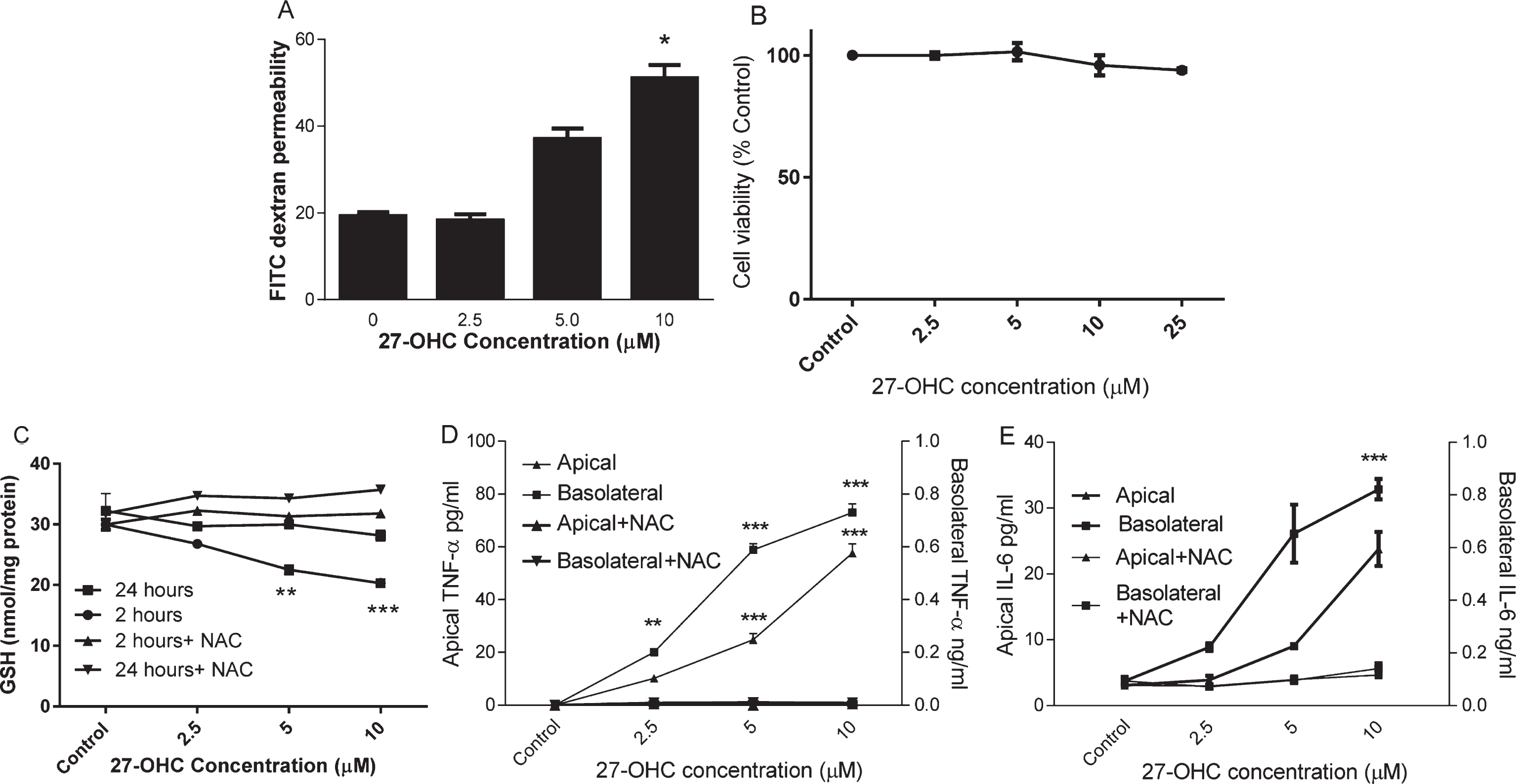 The effect of 27-OHC on endothelial barrier permeability. HMVEC cells were seeded in Transwell inserts for 2 weeks before treating 27-OHC at 2.5, 5 or 10μM for further 24 h with or without 3mM NAC. Barrier integrity (A), viability (B), Intracellular GSH (C; at 2 and 24 h) and secreted TNF-α and IL-6 levels (D and E) were measured. **p < 0.01, ***p < 0.001, n = 3.