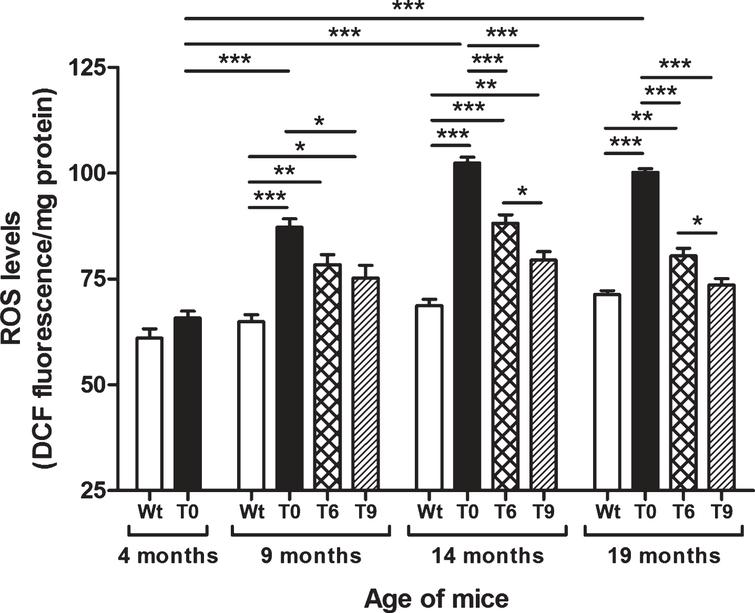 Effect of dietary walnut supplementation on ROS levels in AD-tg mice. Diet with walnuts was fed to AD-tg mice from the age of 4 months for a period of 5, 10, or 15 months, i.e., until the age of 9, 14, or 19 months. ROS levels in the liver homogenates were measured as DCF fluorescence in arbitrary unit/mg protein. Data are represented as the mean ± SEM. Wild-type mice on control diet (Wt), AD-tg on control diet (T0), and AD-tg mice on diet containing 6% walnuts (T6) and 9% walnuts (T9). *p < 0.05, **p < 0.01, and ***p < 0.001.