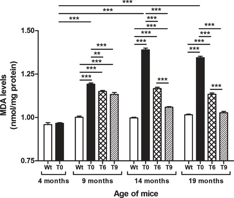 Effect of dietary walnut supplementation on lipid peroxidation in AD-tg mice. Lipid peroxidation was measured by estimating the levels of MDA, an end-product of lipid peroxidation in the liver homogenates. Diet with walnuts was fed to AD-tg mice from the age of 4 months for a period of 5, 10, or 15 months, i.e., until the age of 9, 14, or 19 months. Data are represented as the mean±SEM. Wild-type mice on control diet (Wt), AD-tg on control diet (T0), and AD-tg mice on diet containing 6% walnuts (T6) and 9% walnuts (T9). *p < 0.05, **p < 0.01, and ***p < 0.001.