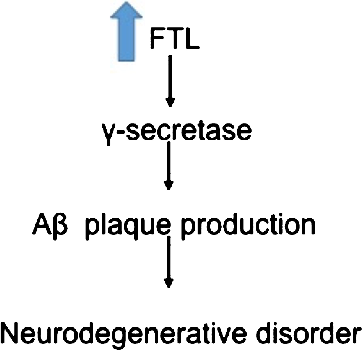 Overexpression of FTL causes increase production of Aβ plaques leading to neurodegeneration [66].